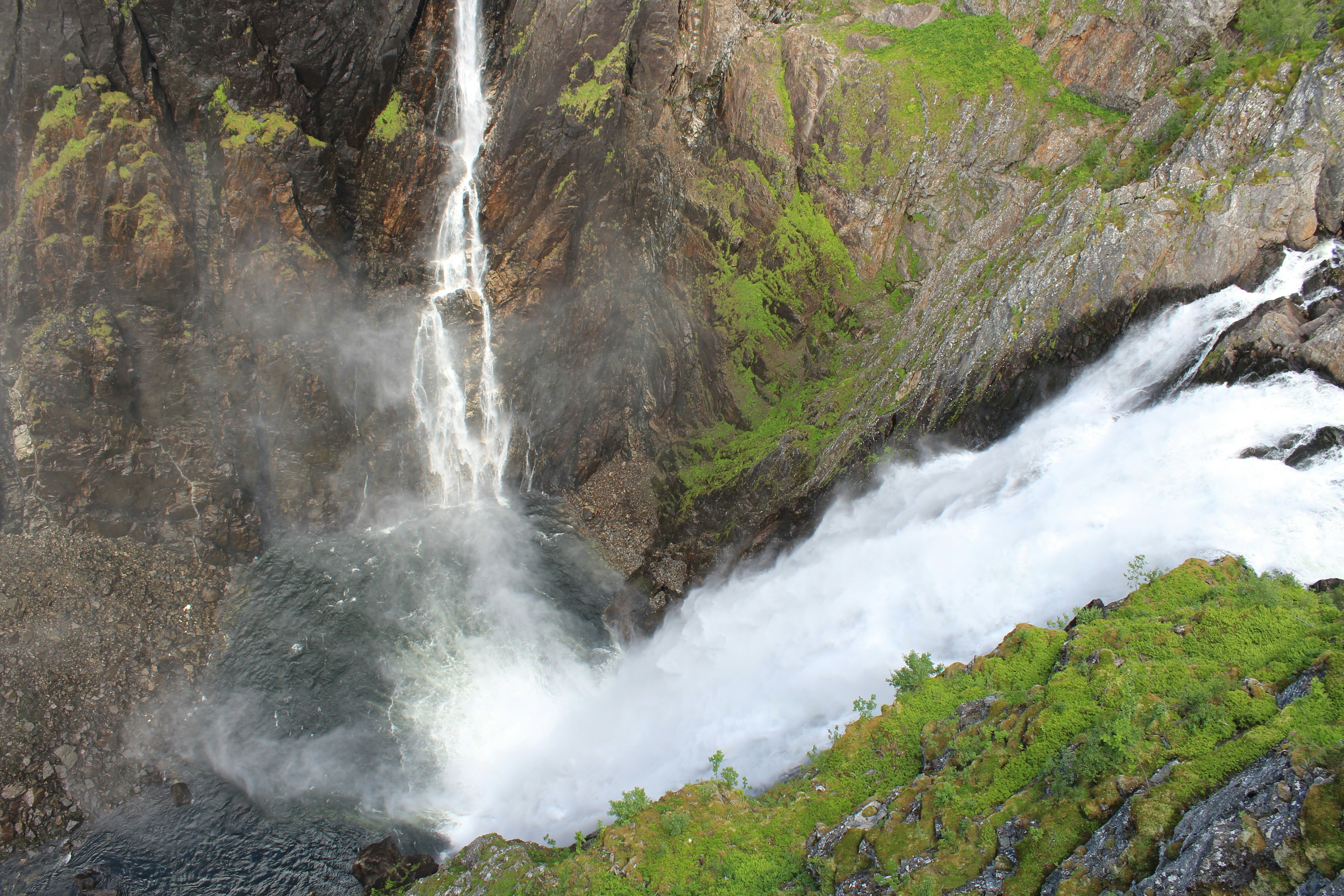 Photo by alys_skowron