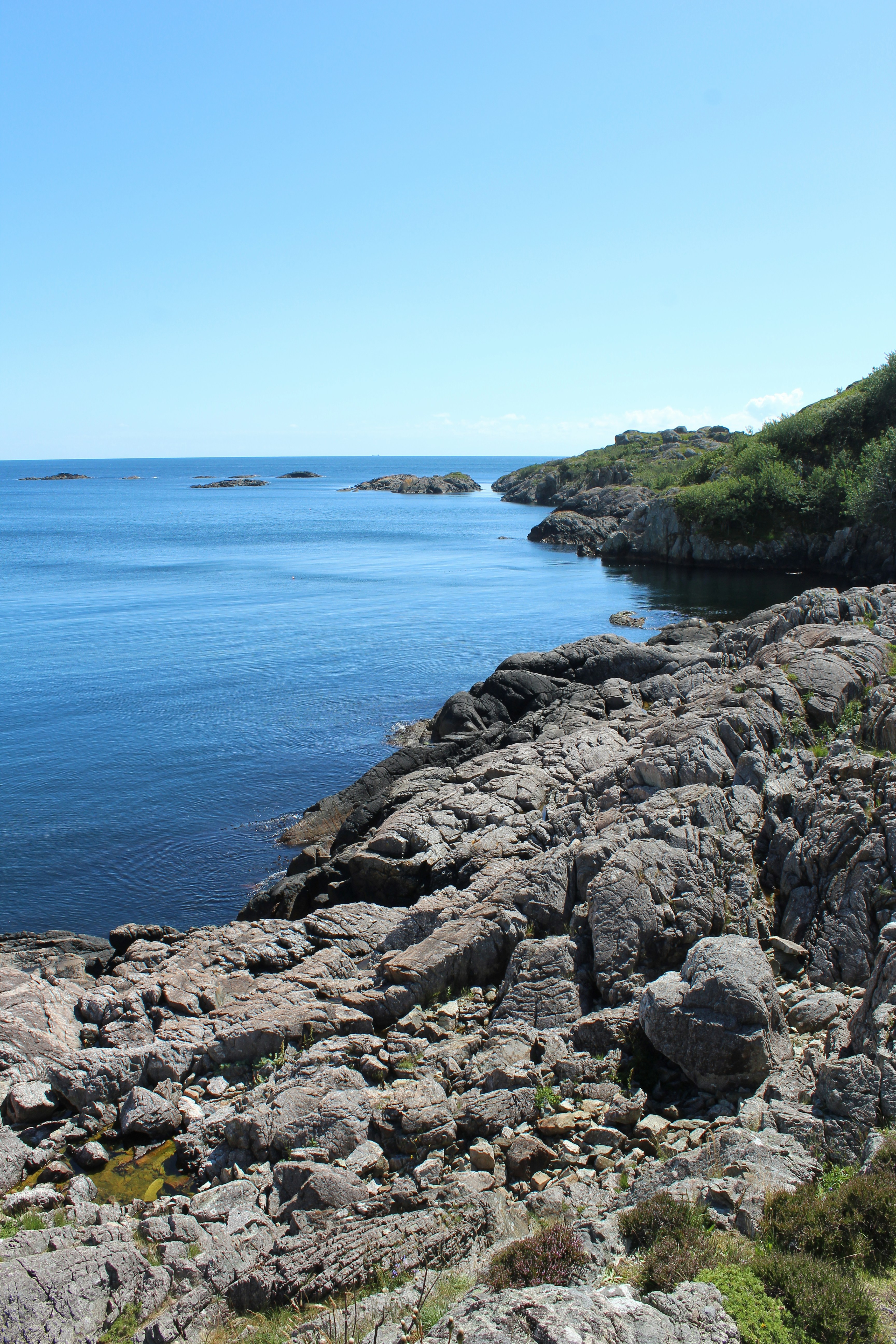 Photo by alys_skowron