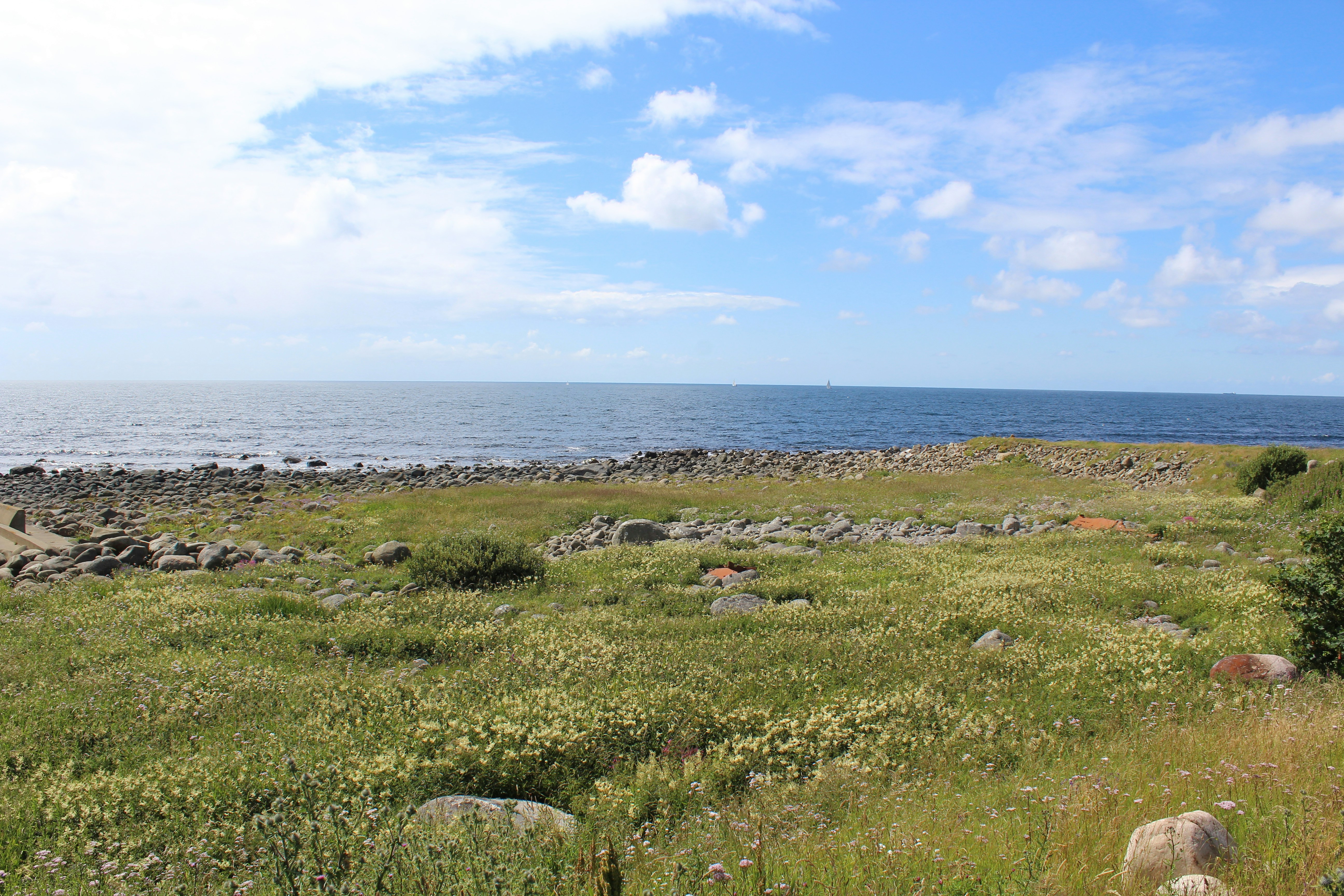 Photo by alys_skowron