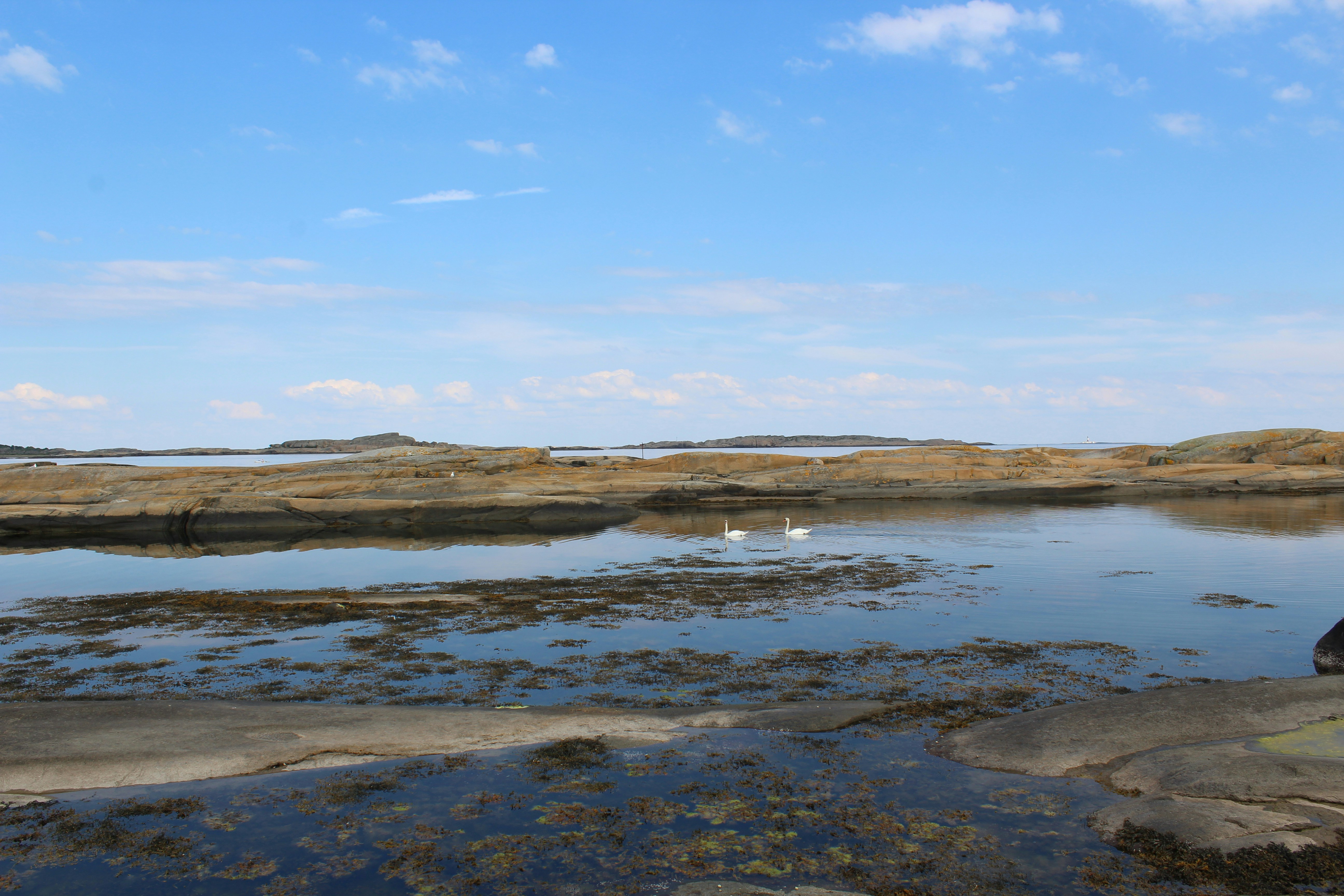 Photo by alys_skowron