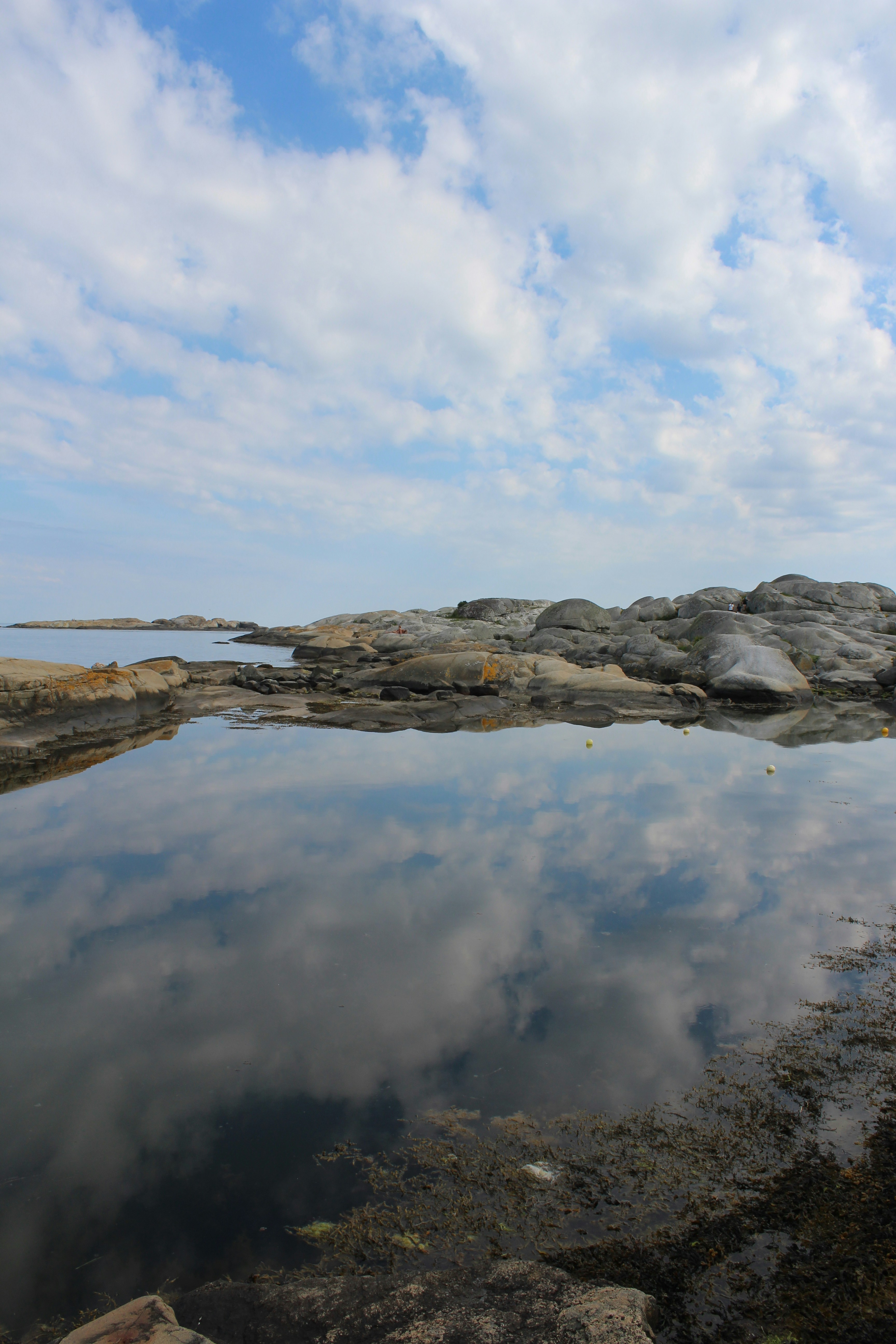 Photo by alys_skowron