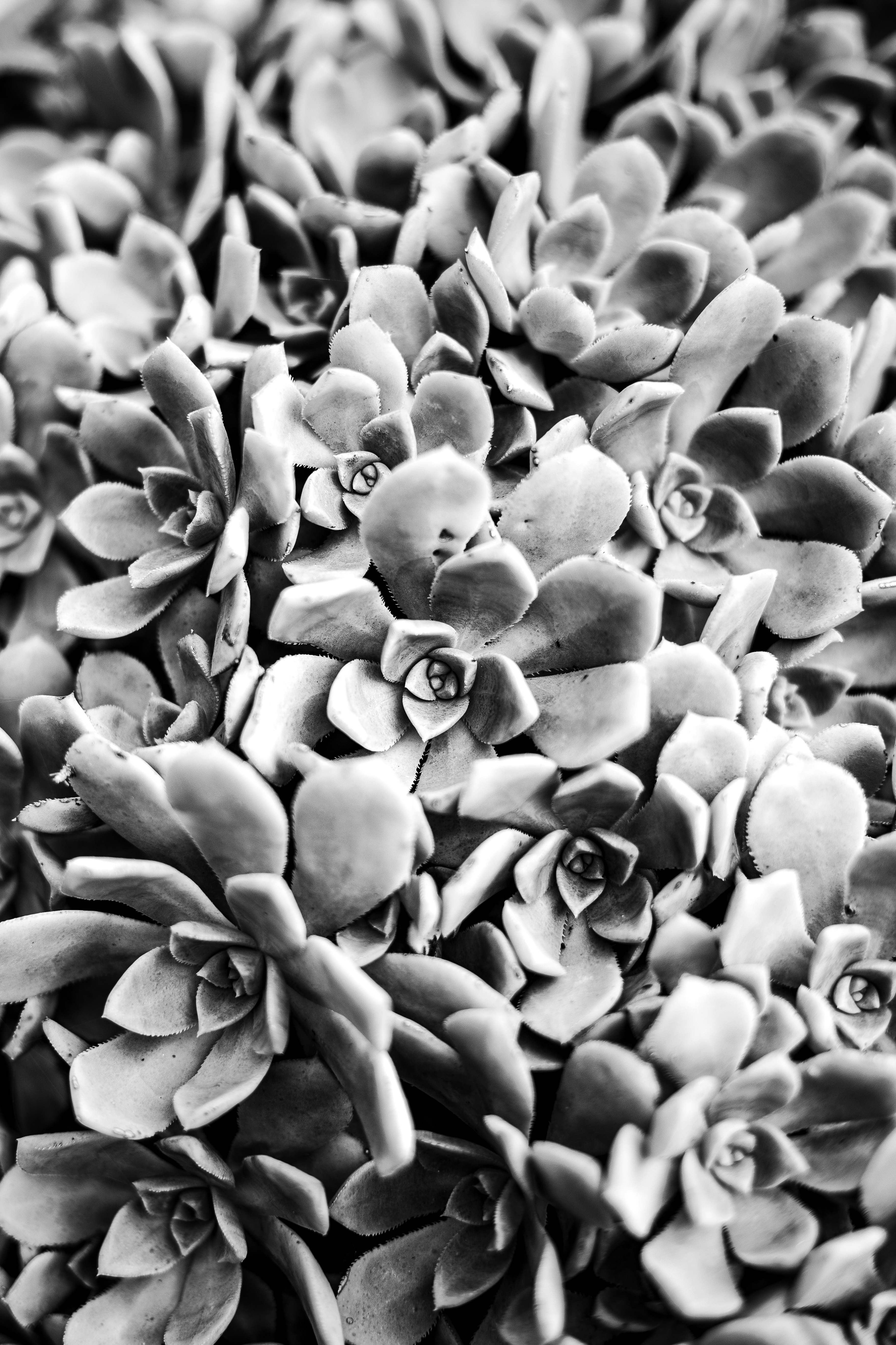 Photo by marekpiwnicki