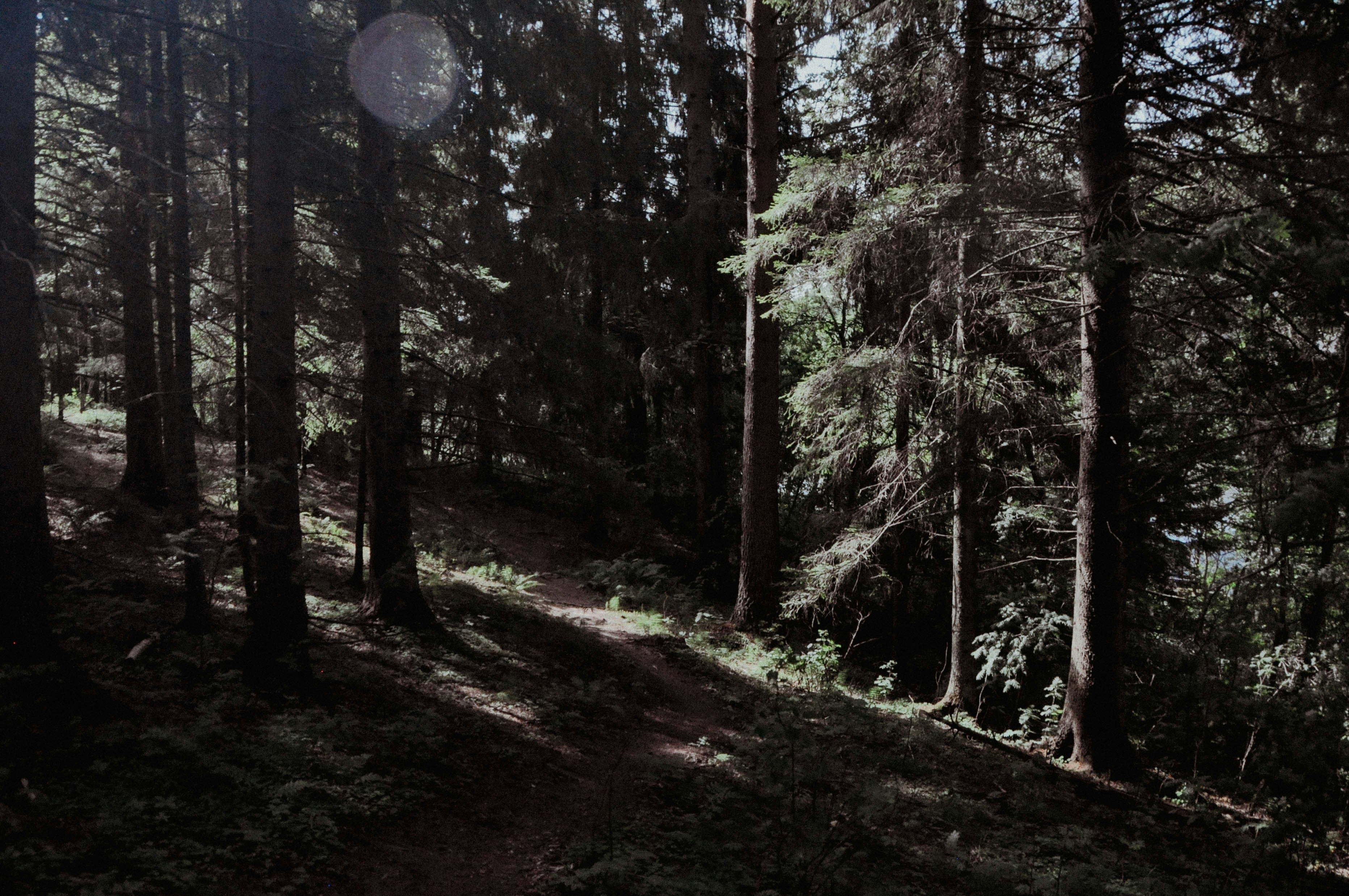 Photo by elenasizontseva