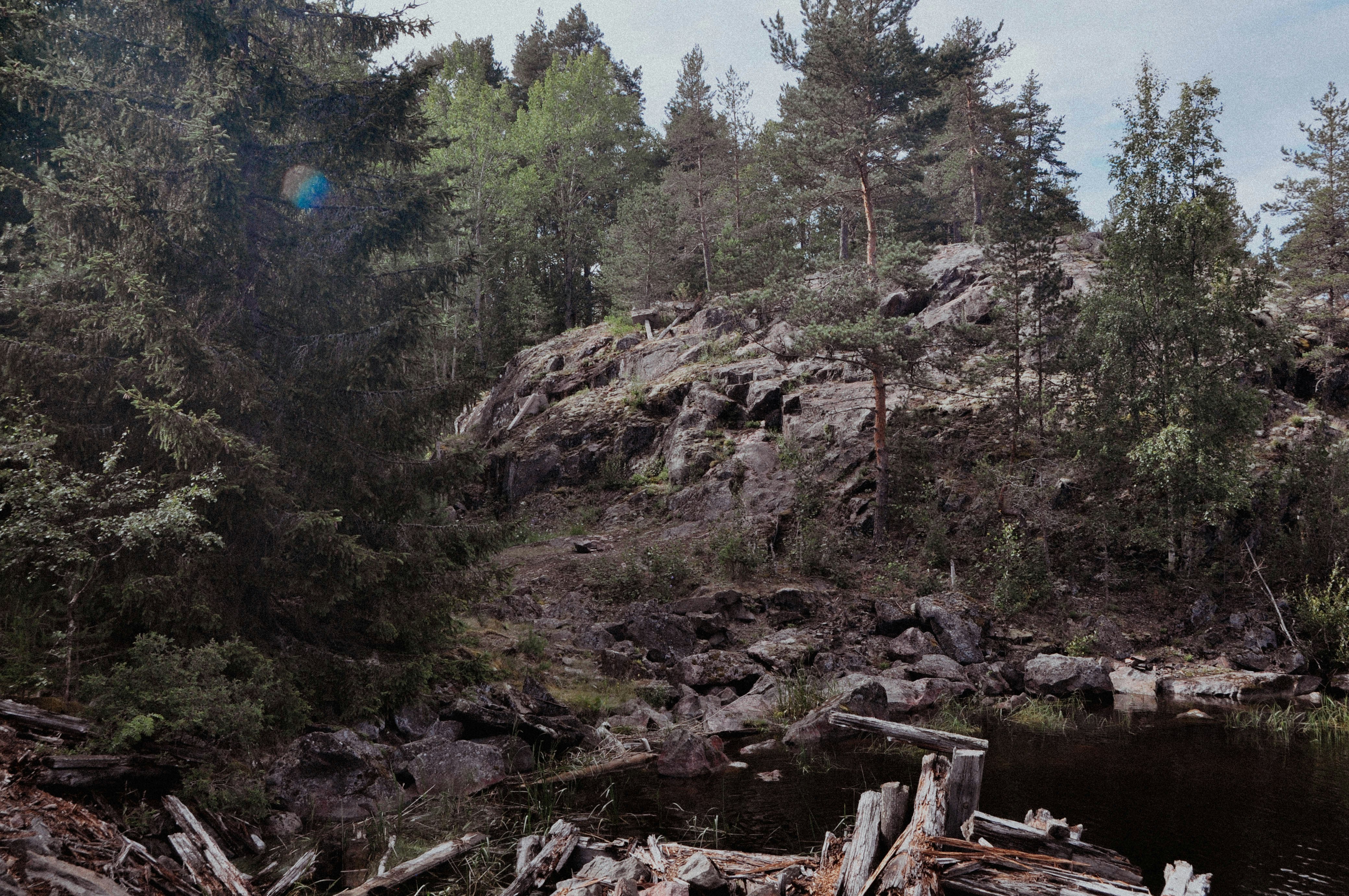 Photo by elenasizontseva