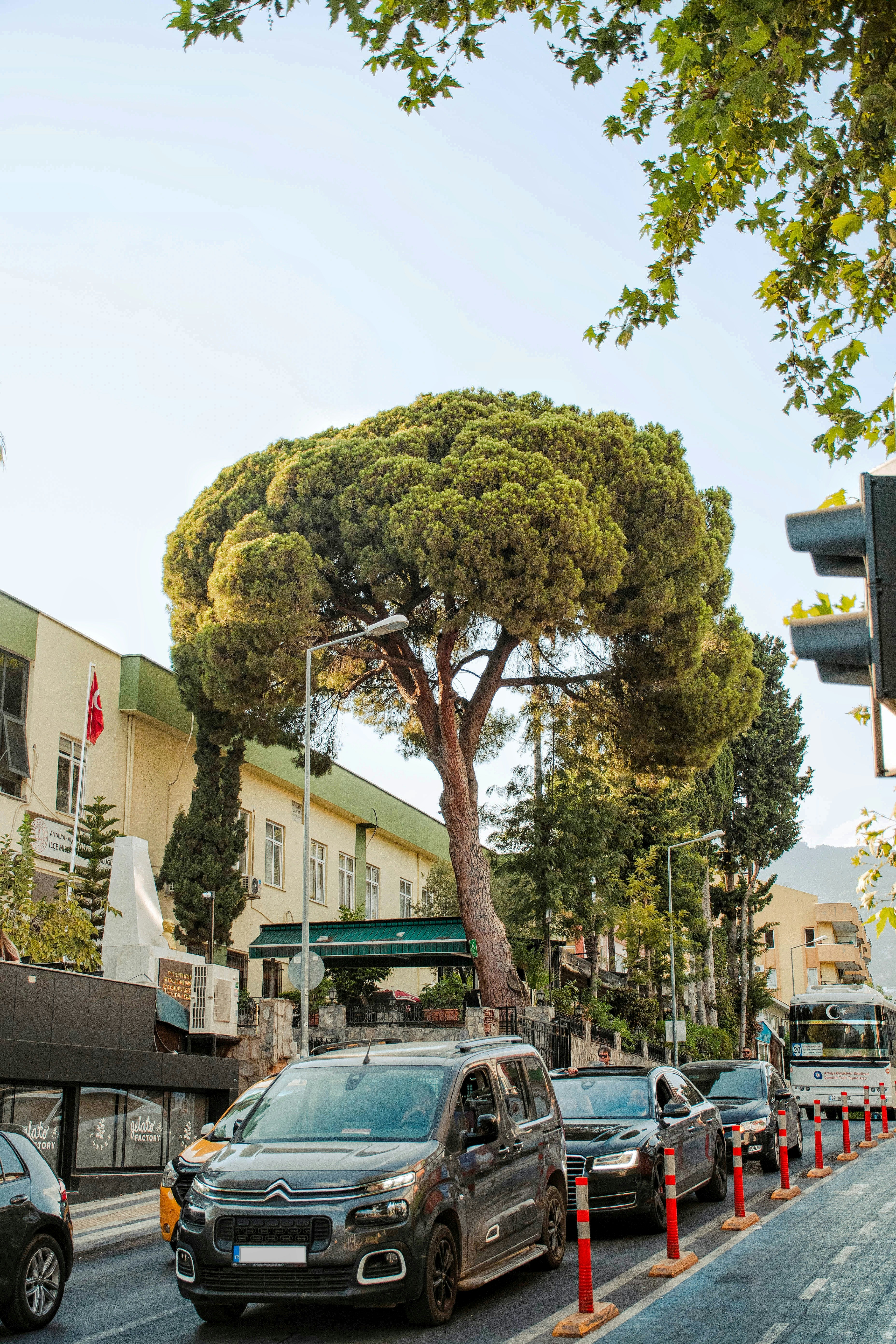 Am Straßenrand geparkte Autos