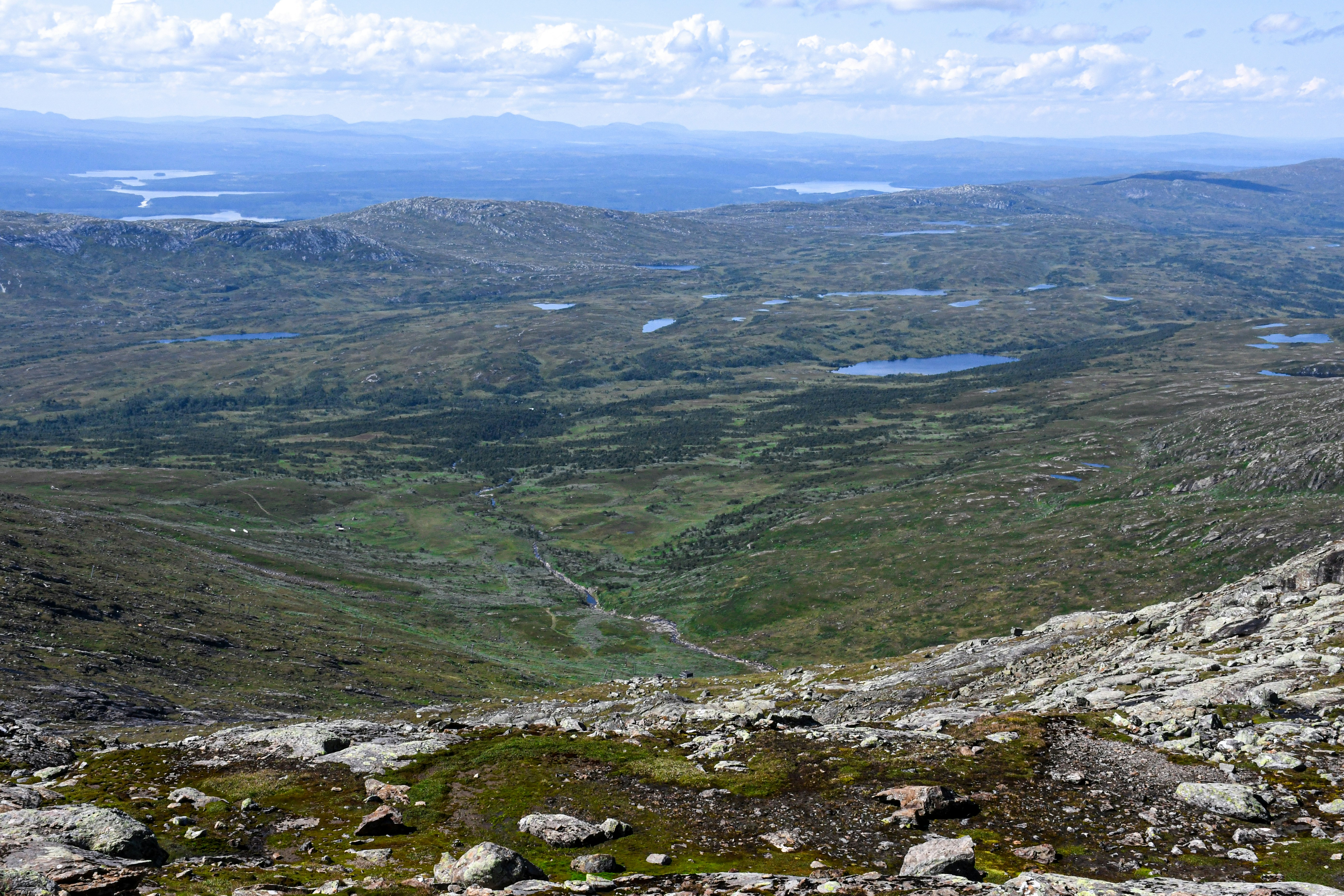 Photo by almahphotos