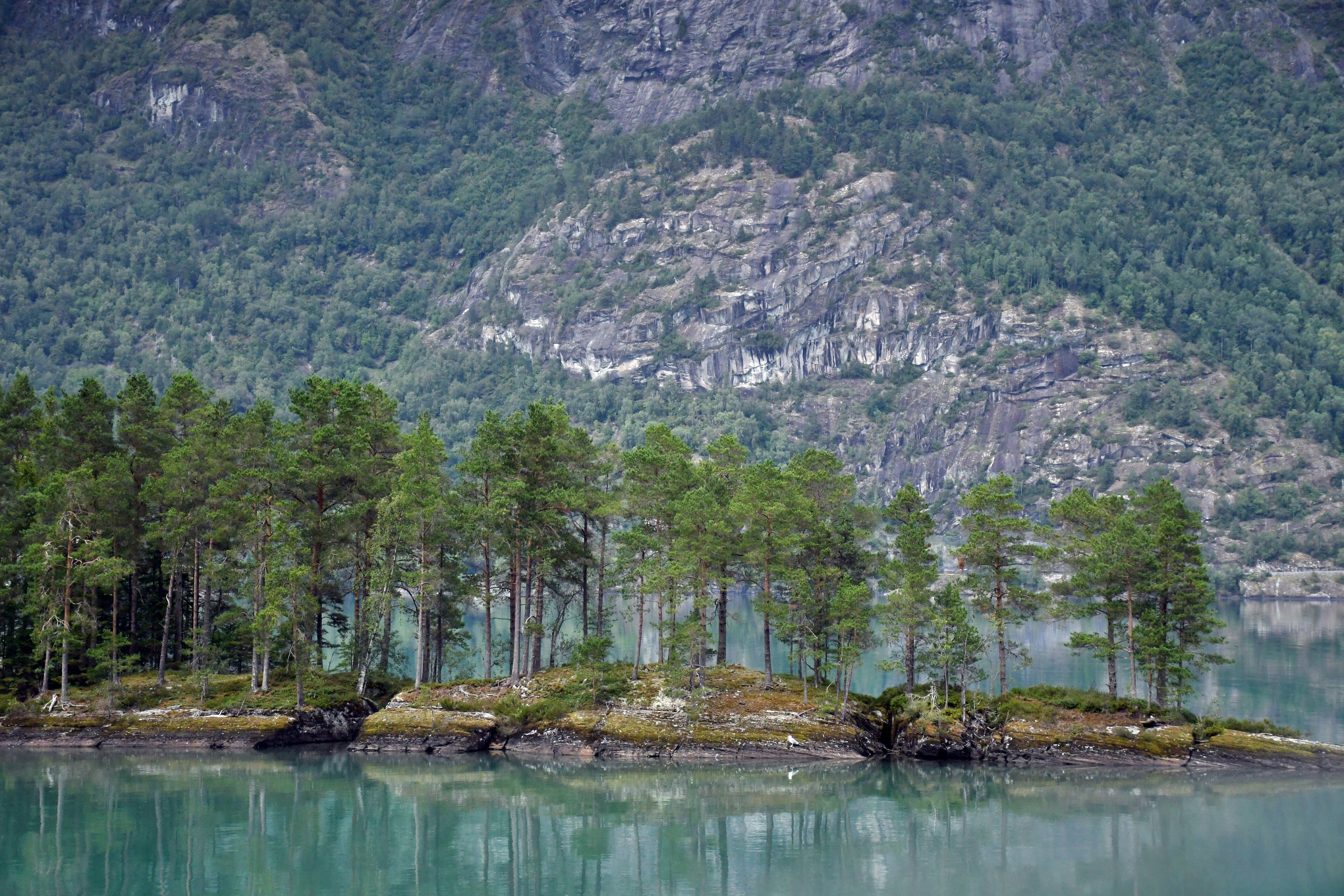 Photo by almahphotos