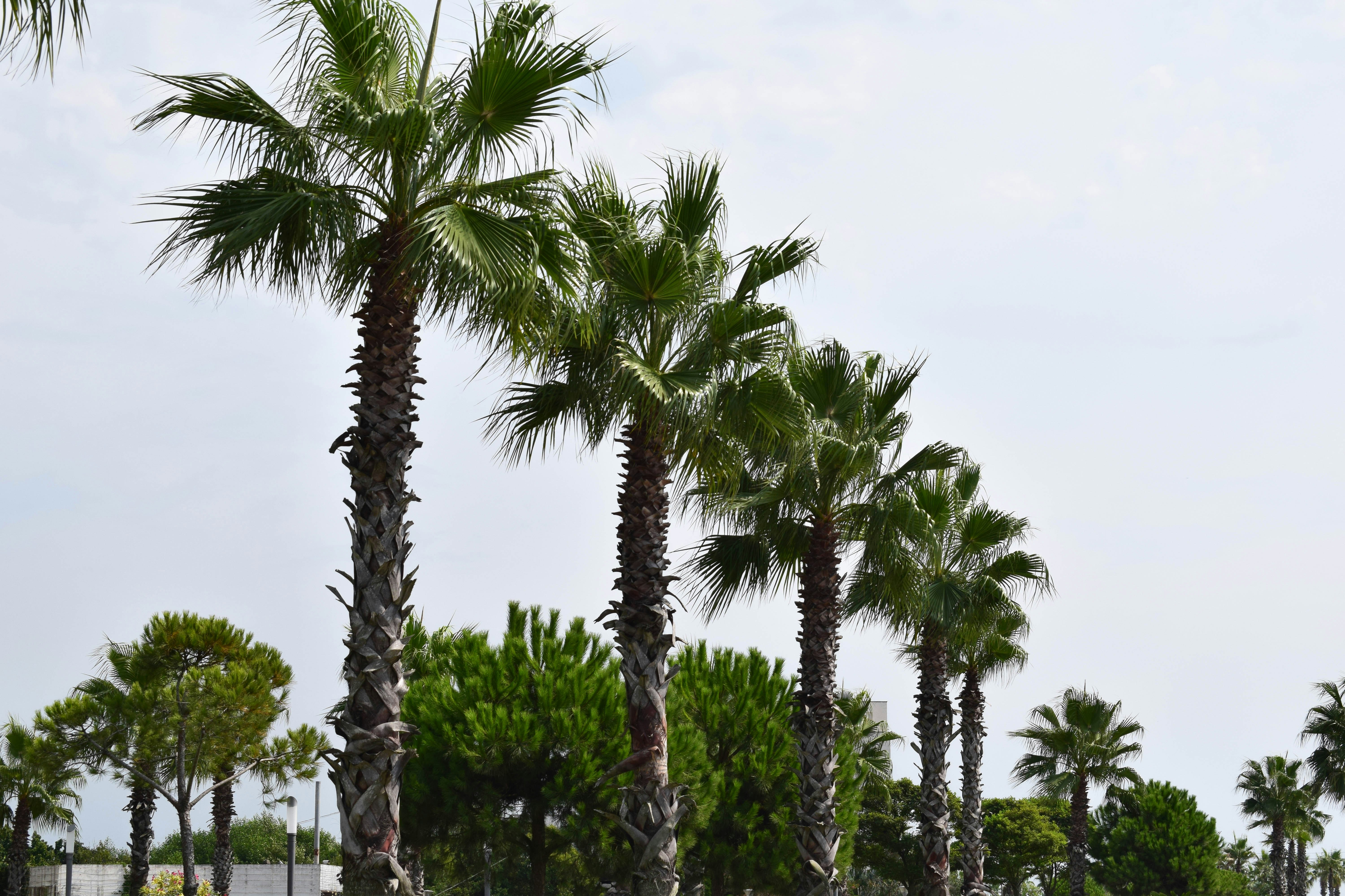 Photo by alexandre13