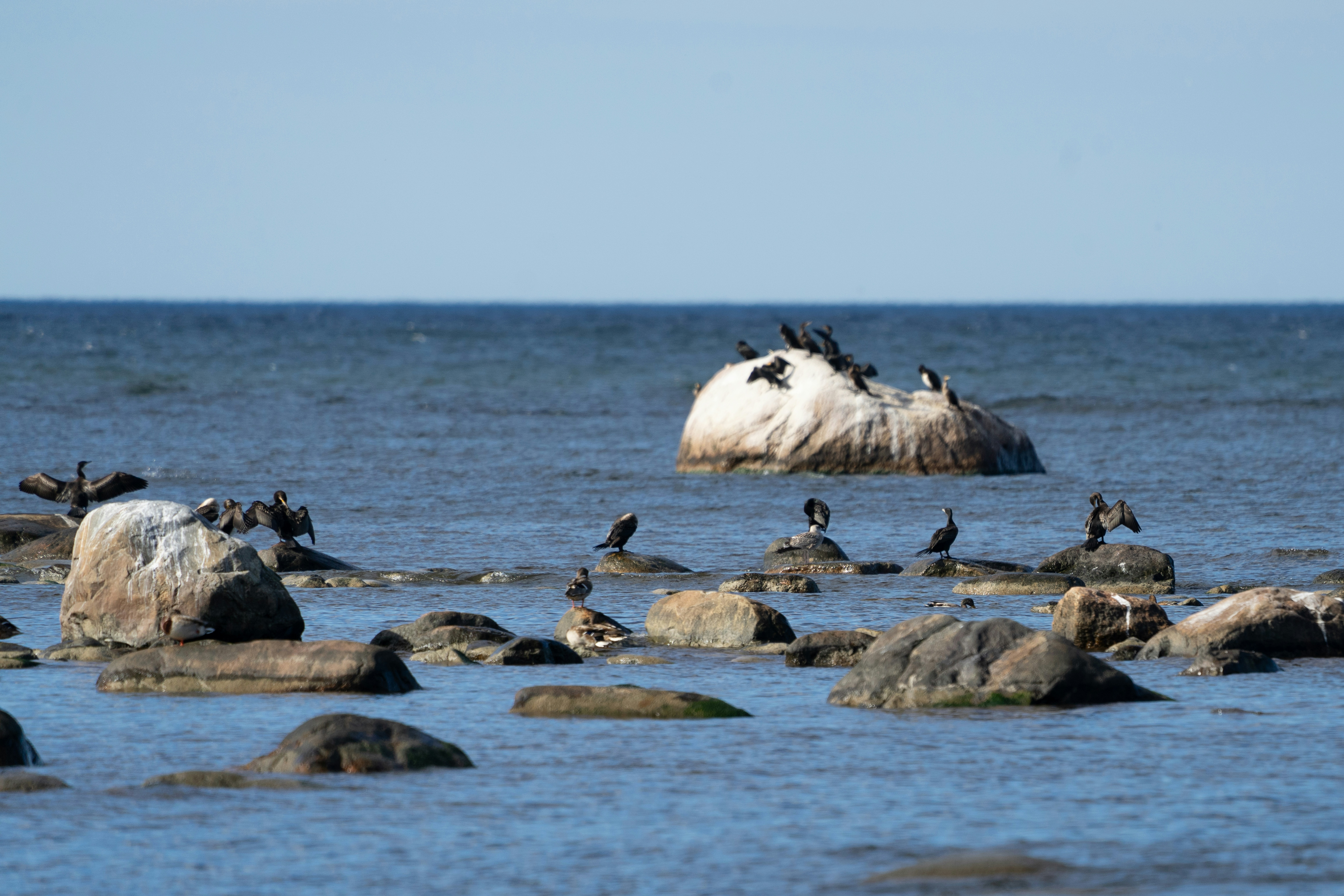 Photo by andruslukas