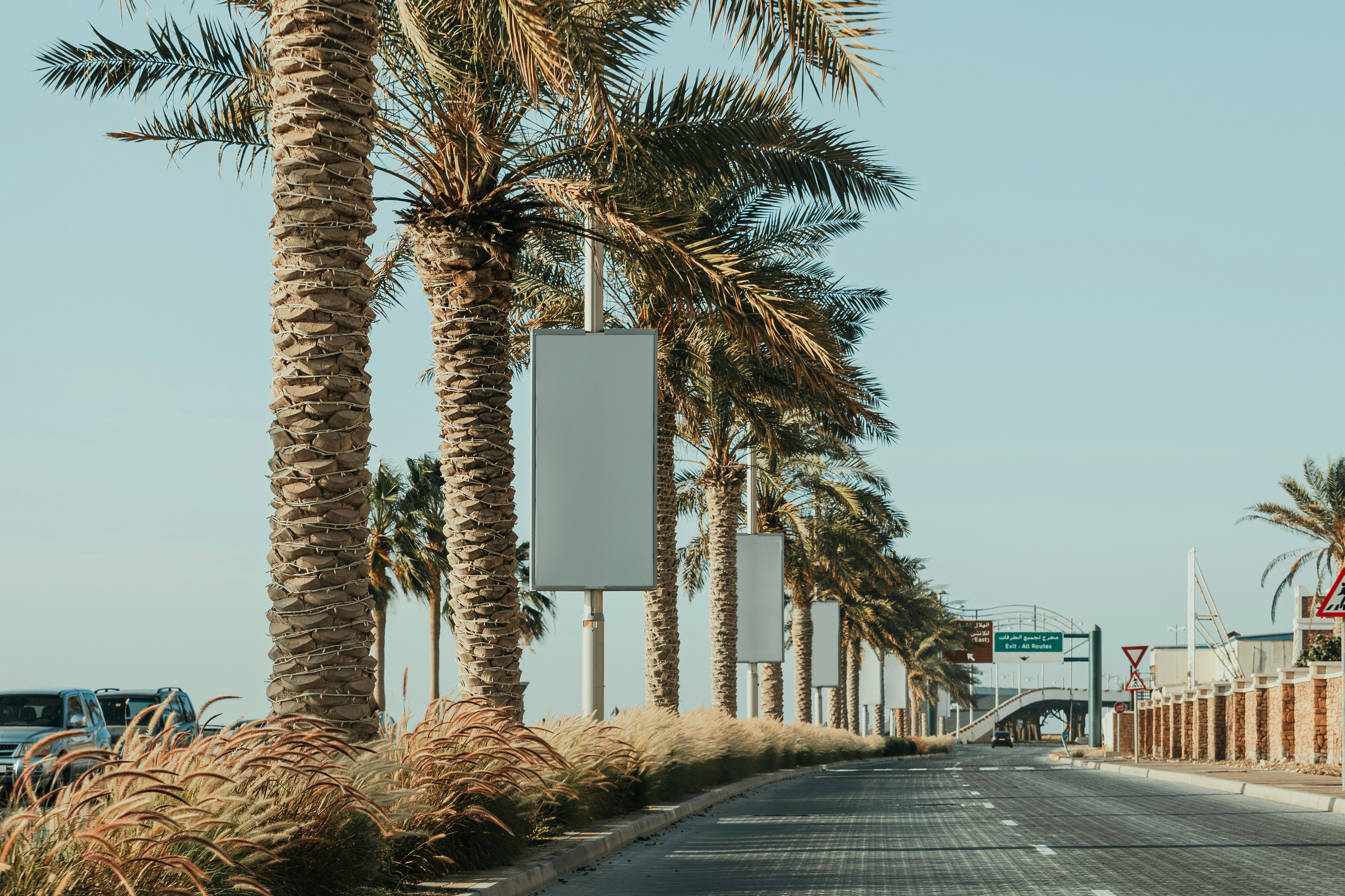 Palm tree boulevard with blank white billboards