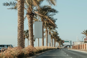 A street lined with palm trees next to a building