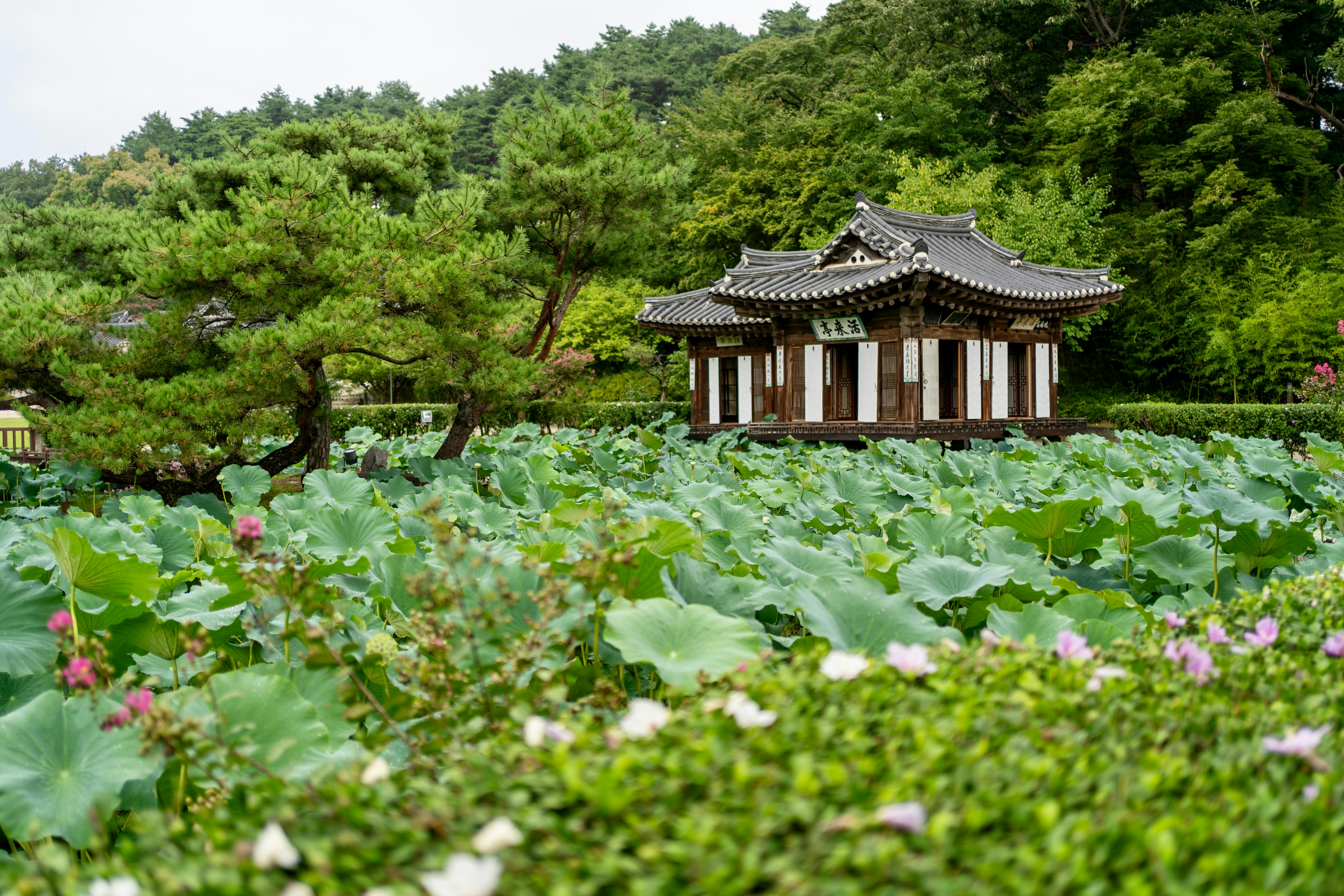 A pagoda in the middle of a field of flowers