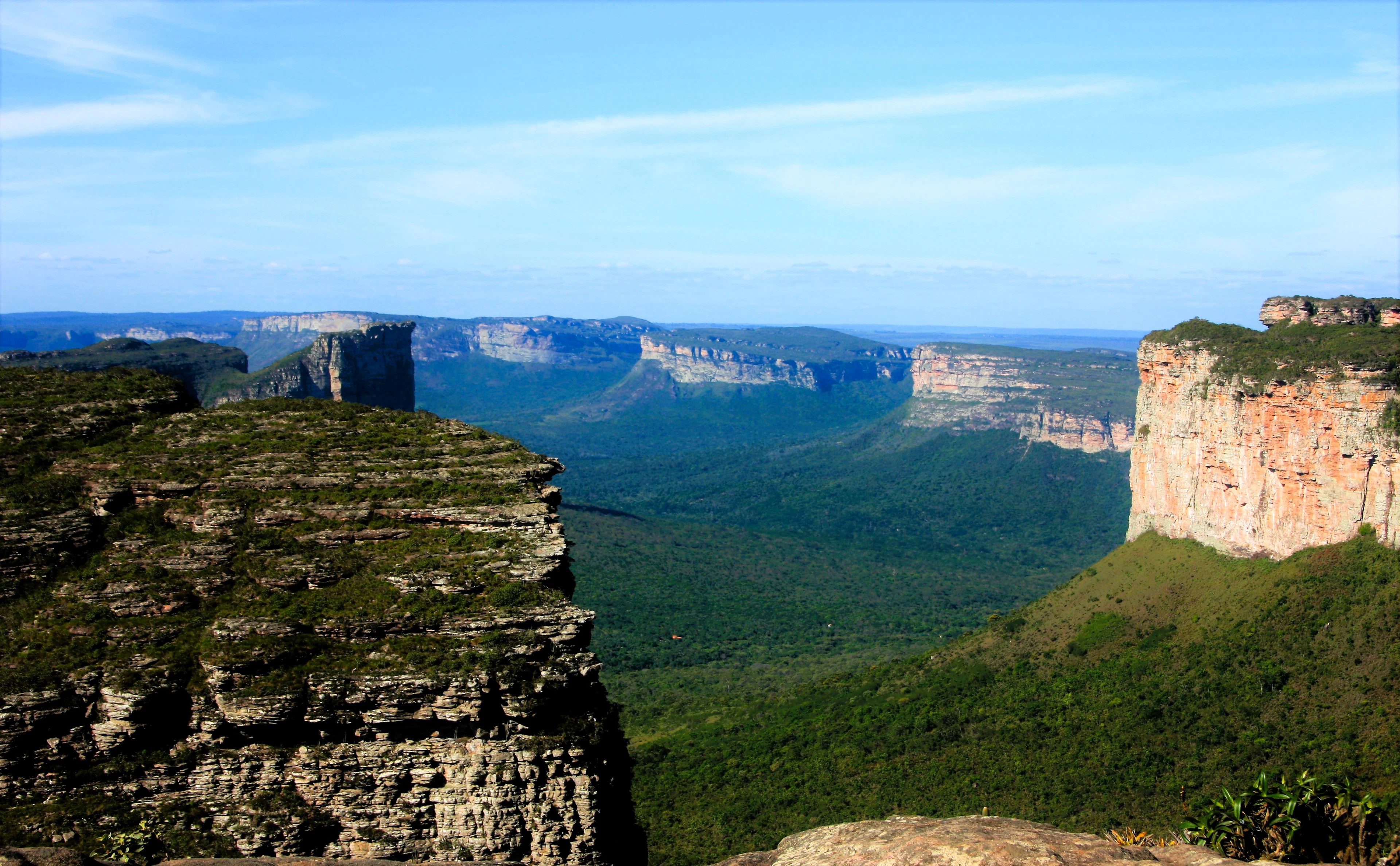 Tablelands and a forested valley seen from a cliff edge, Chapada Diamantina, Brazil
