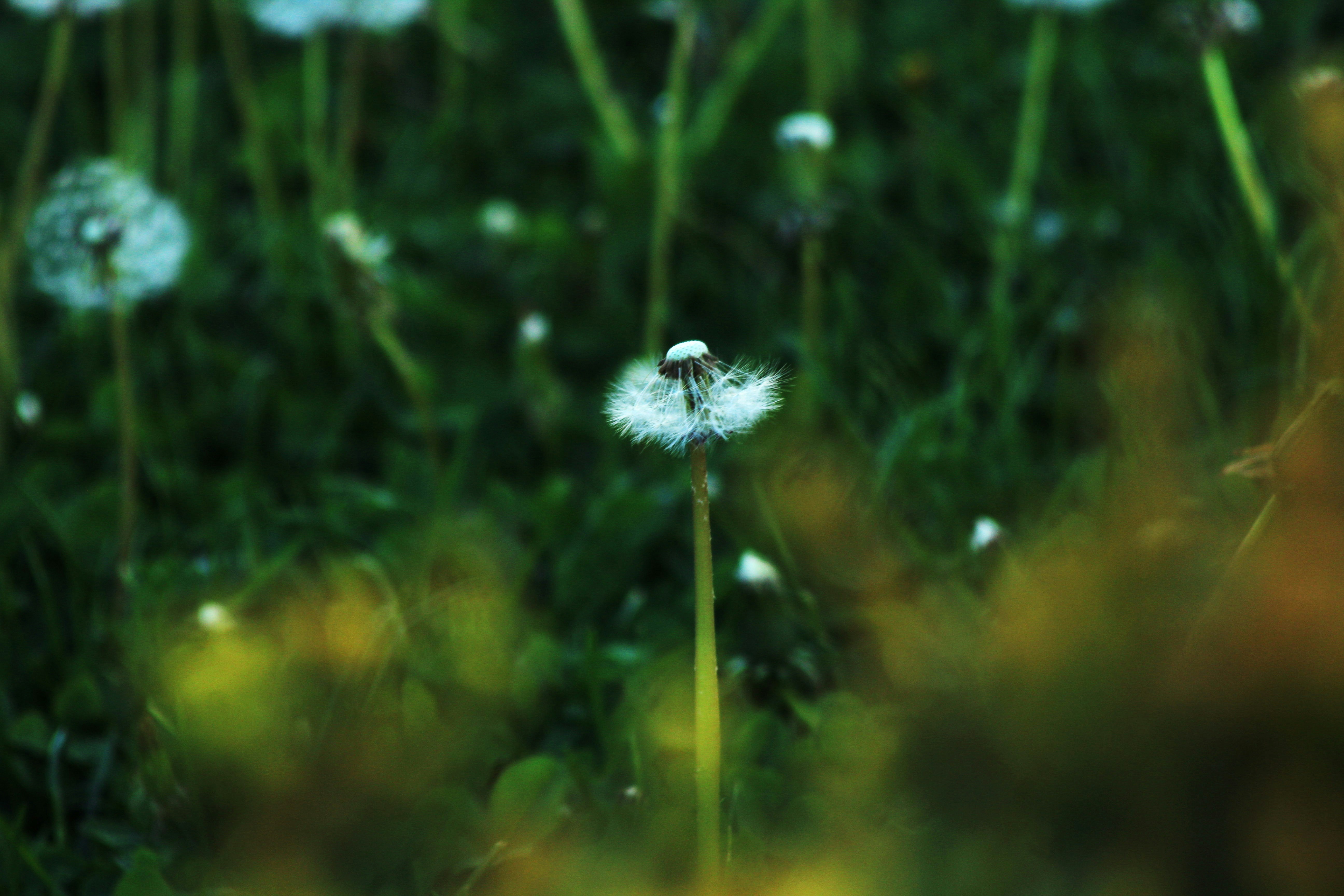 Photo by karinamidlovsla