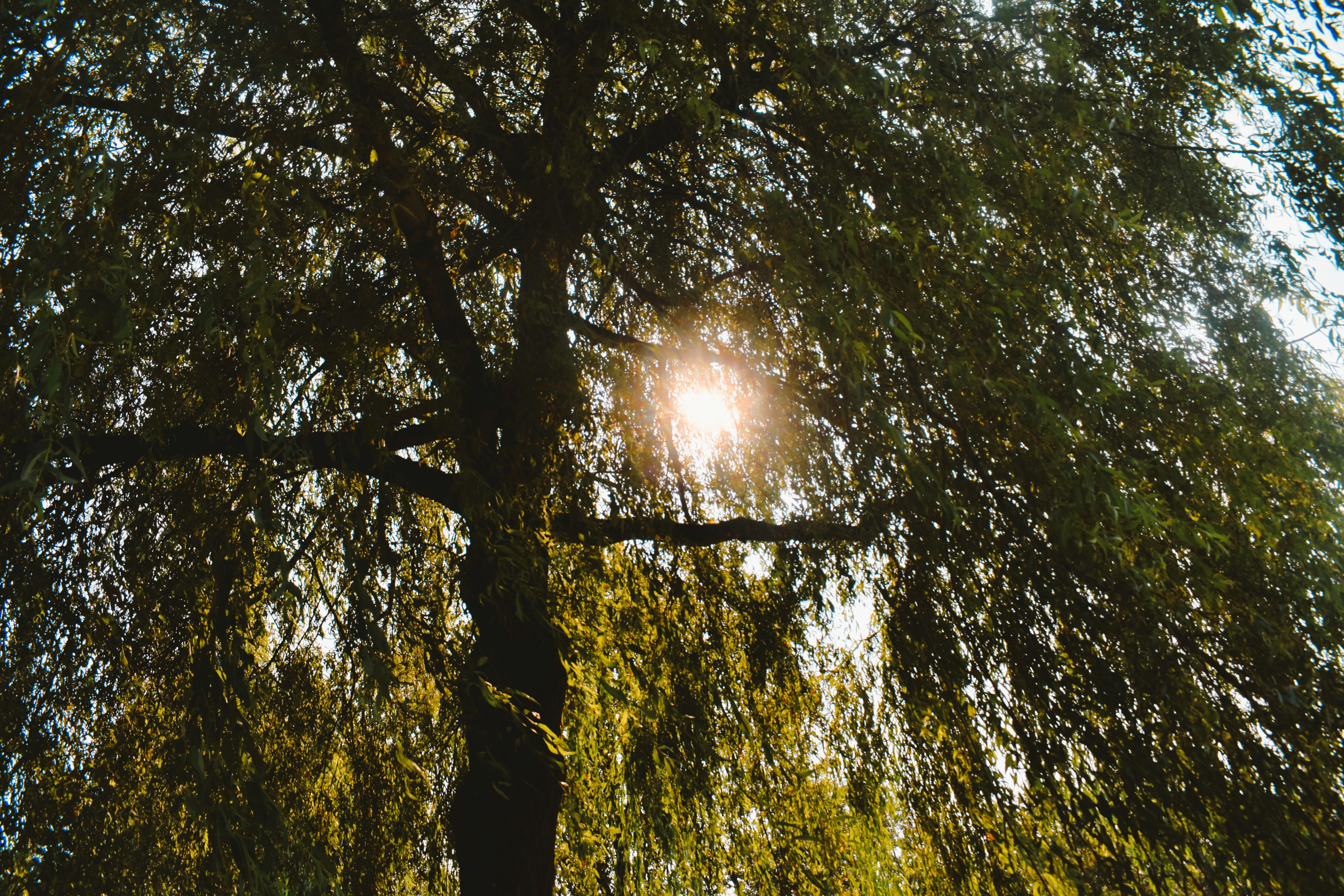 Photo by myshegotripped