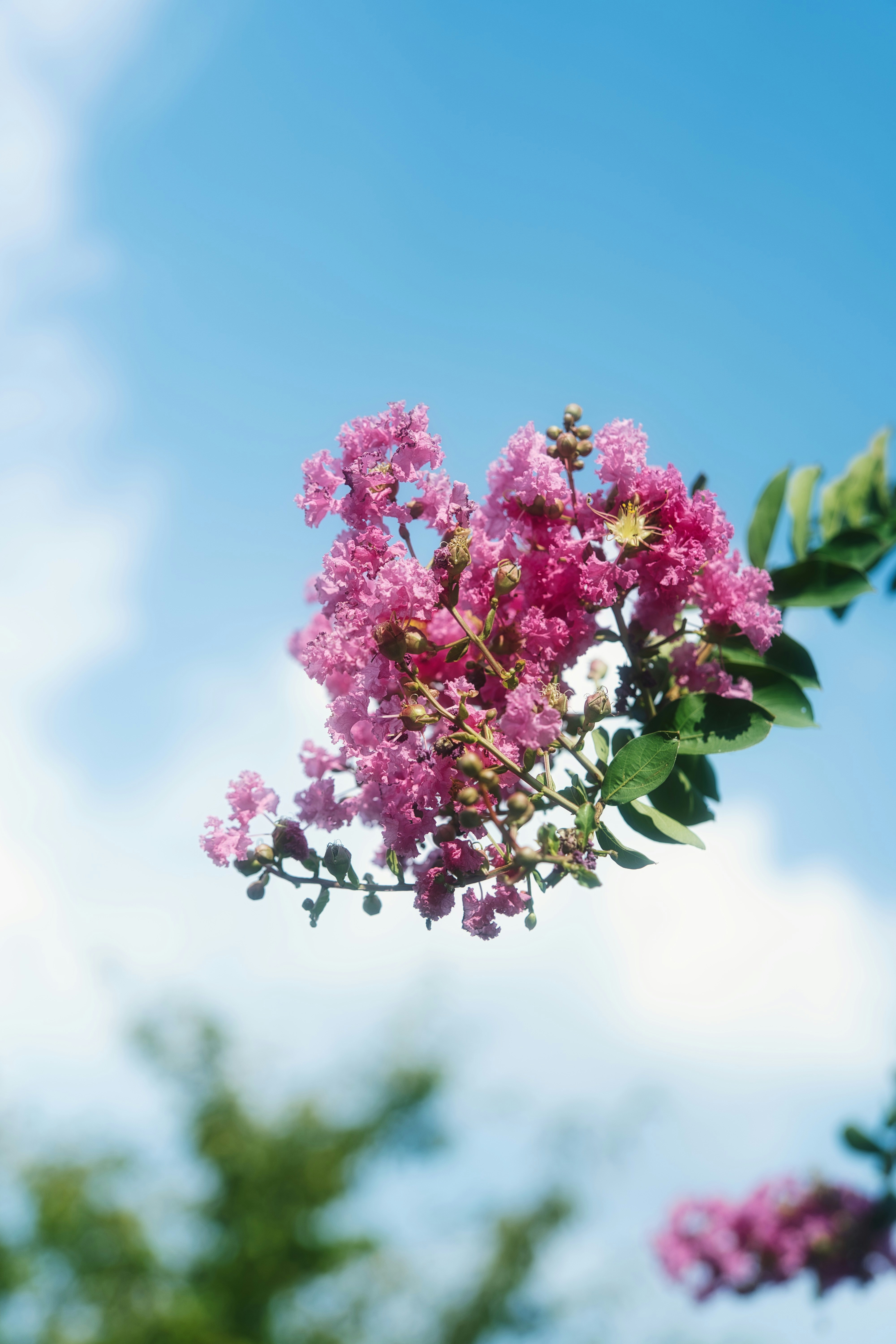 Photo by xiexianghua