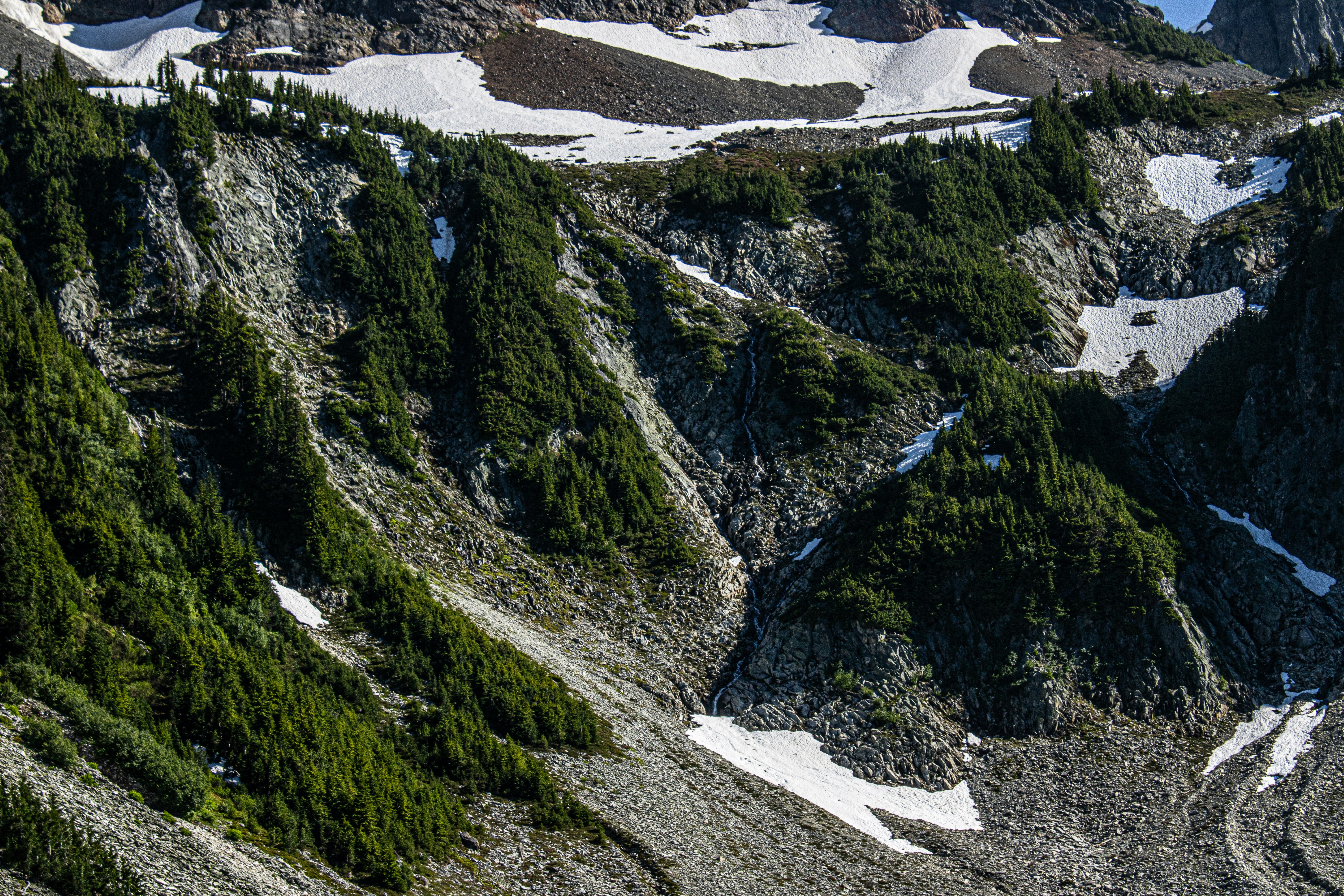 Photo by prphotography262