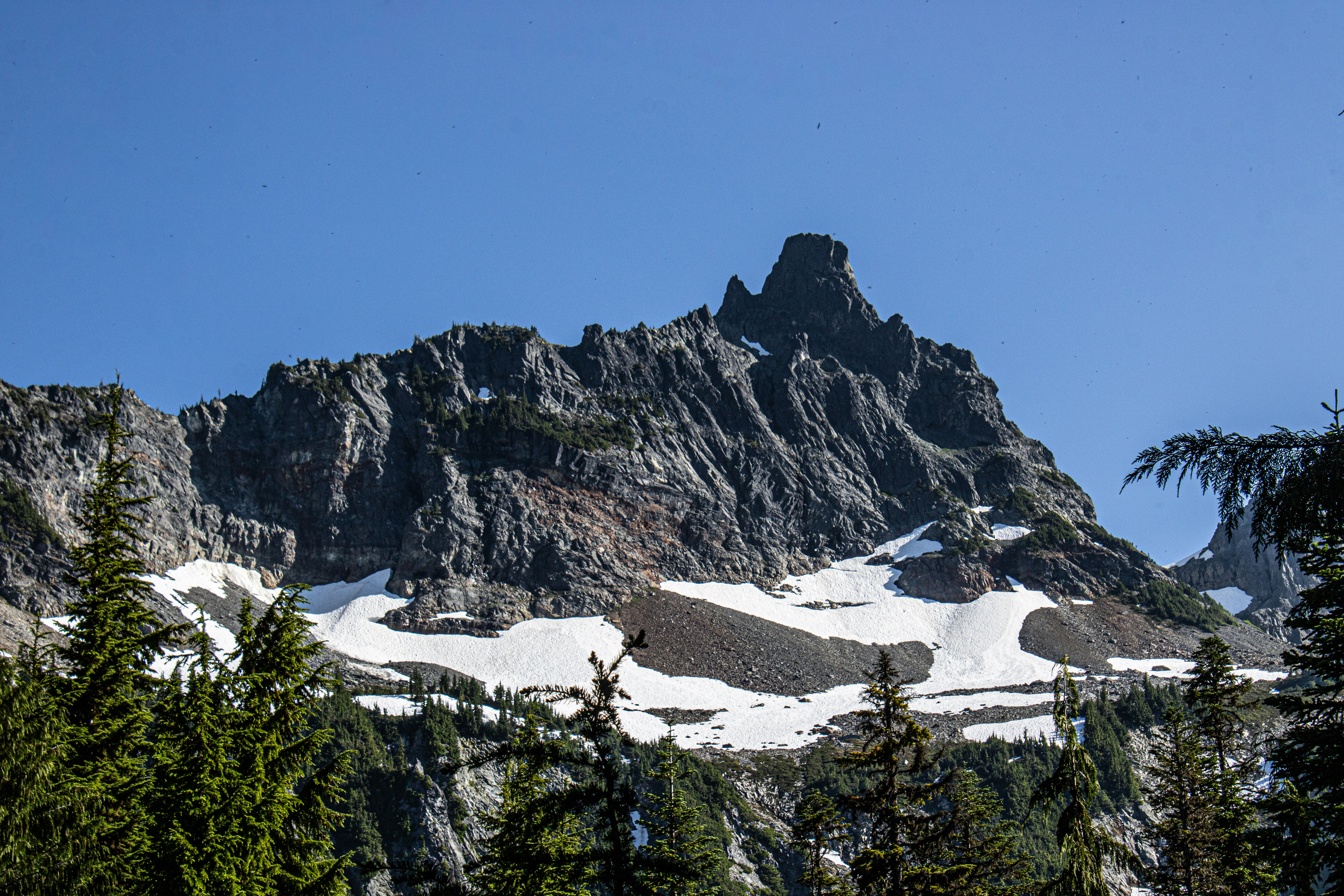 Photo by prphotography262