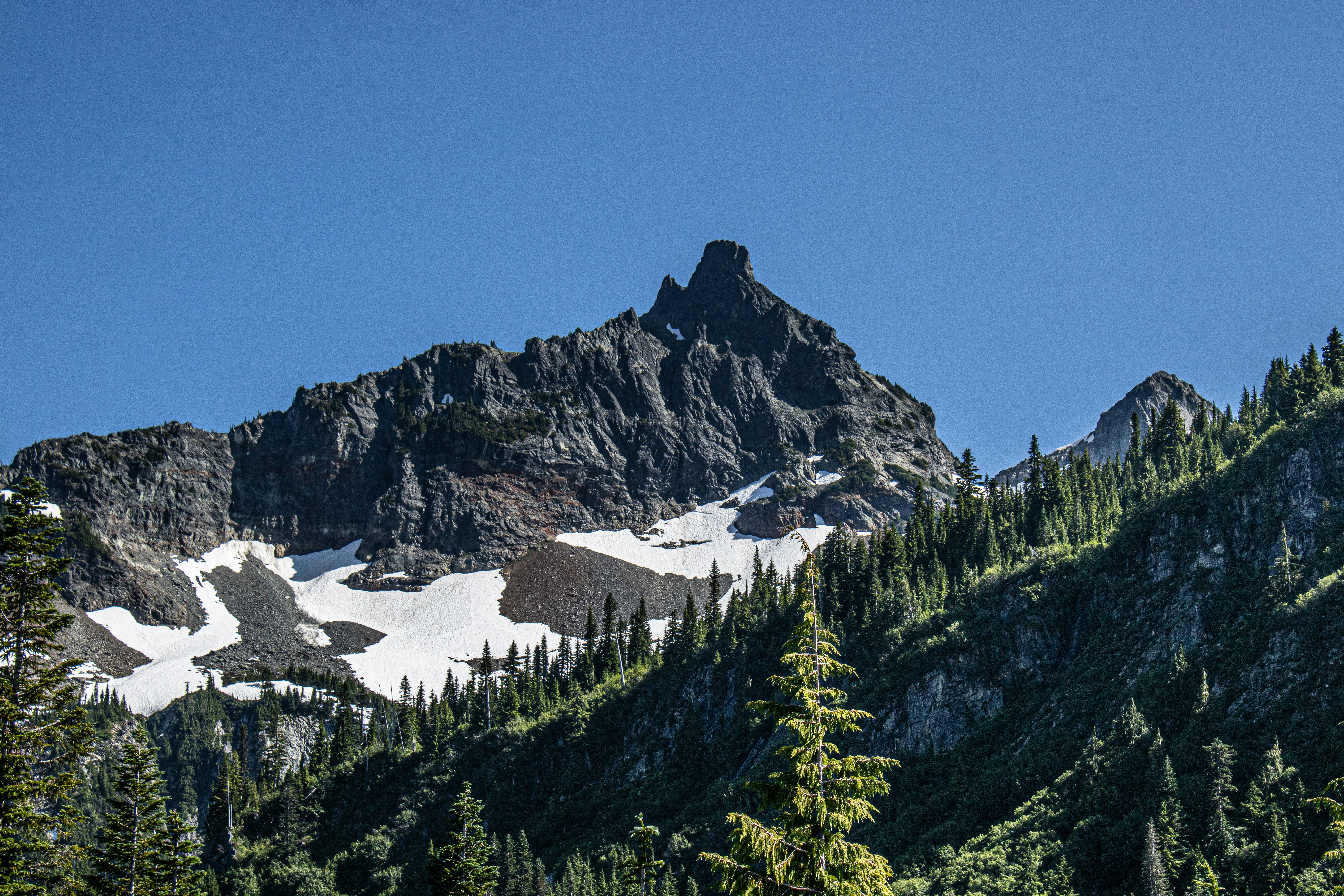 Photo by prphotography262