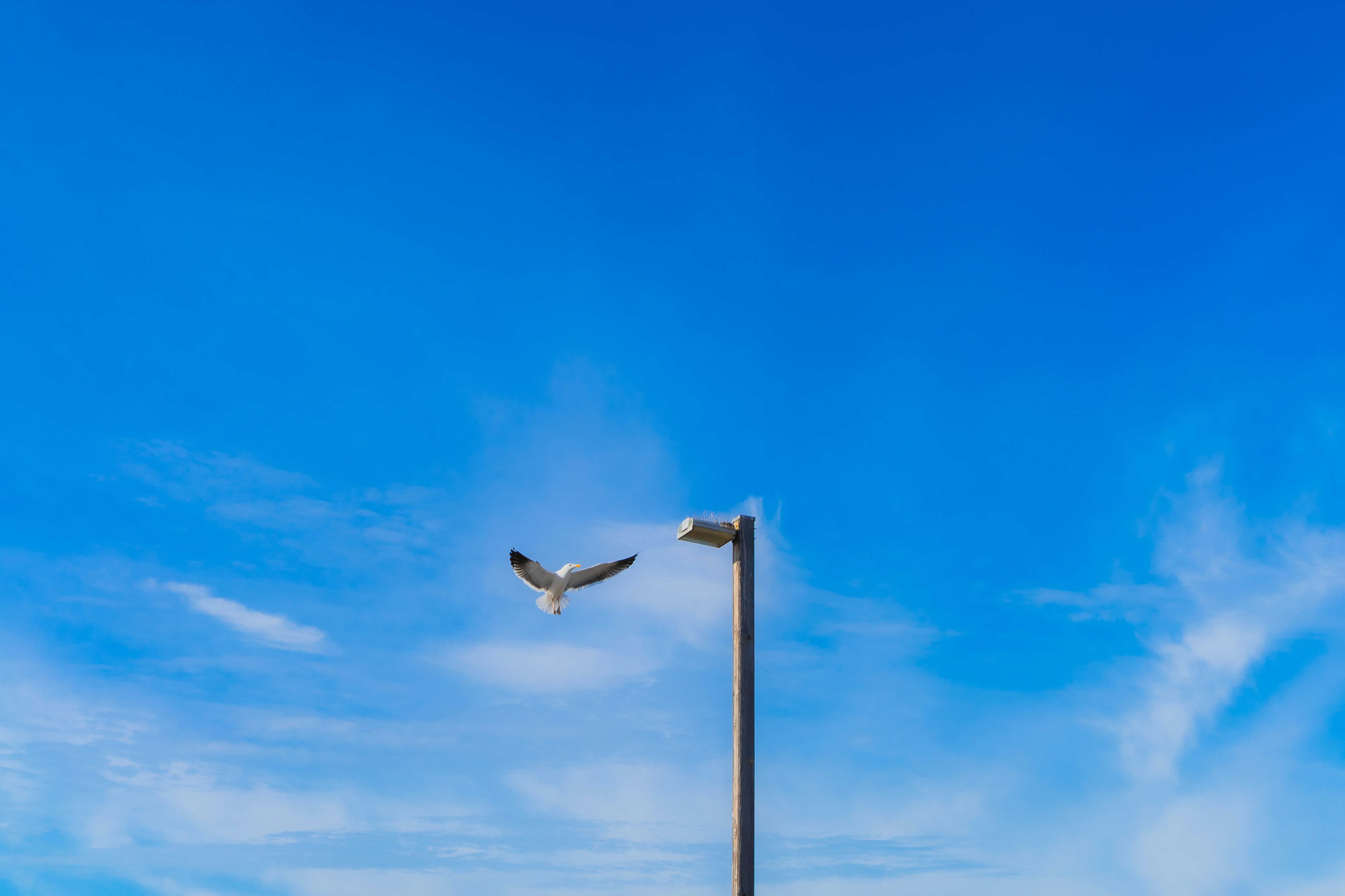 Photo by zhenyao_photo