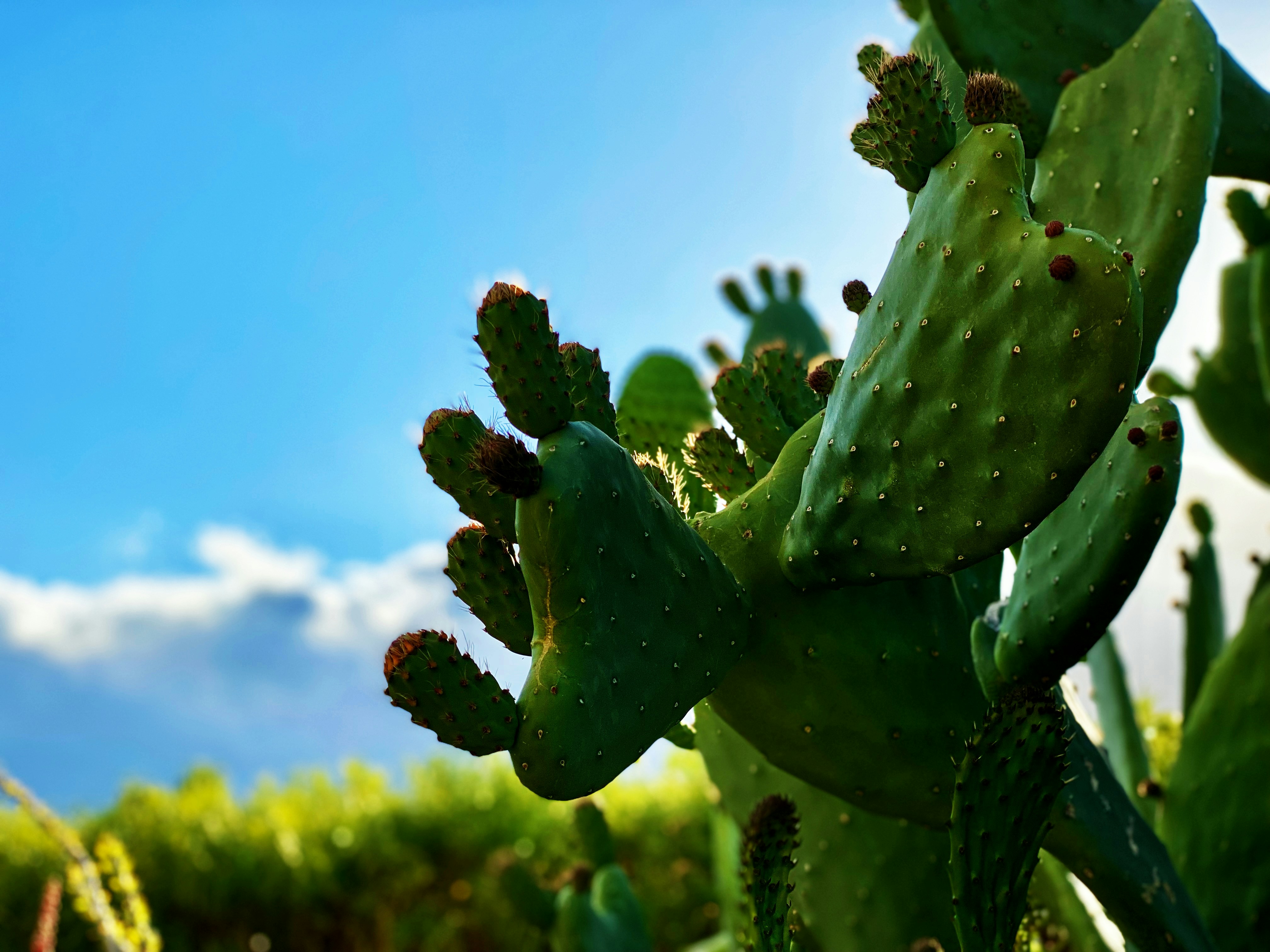 Photo by bohdan_zachary