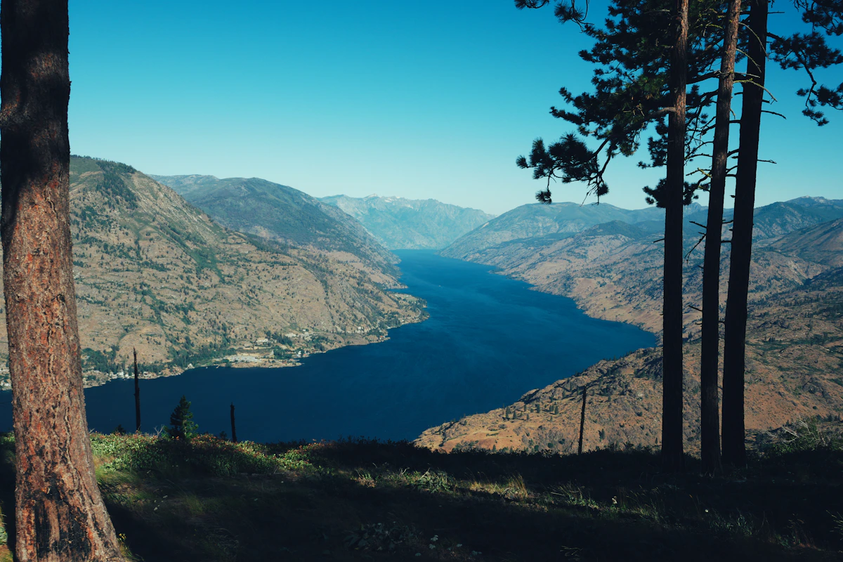 Lake Chelan stretching up-lake between steep ridges, seen from a pine-framed overlook