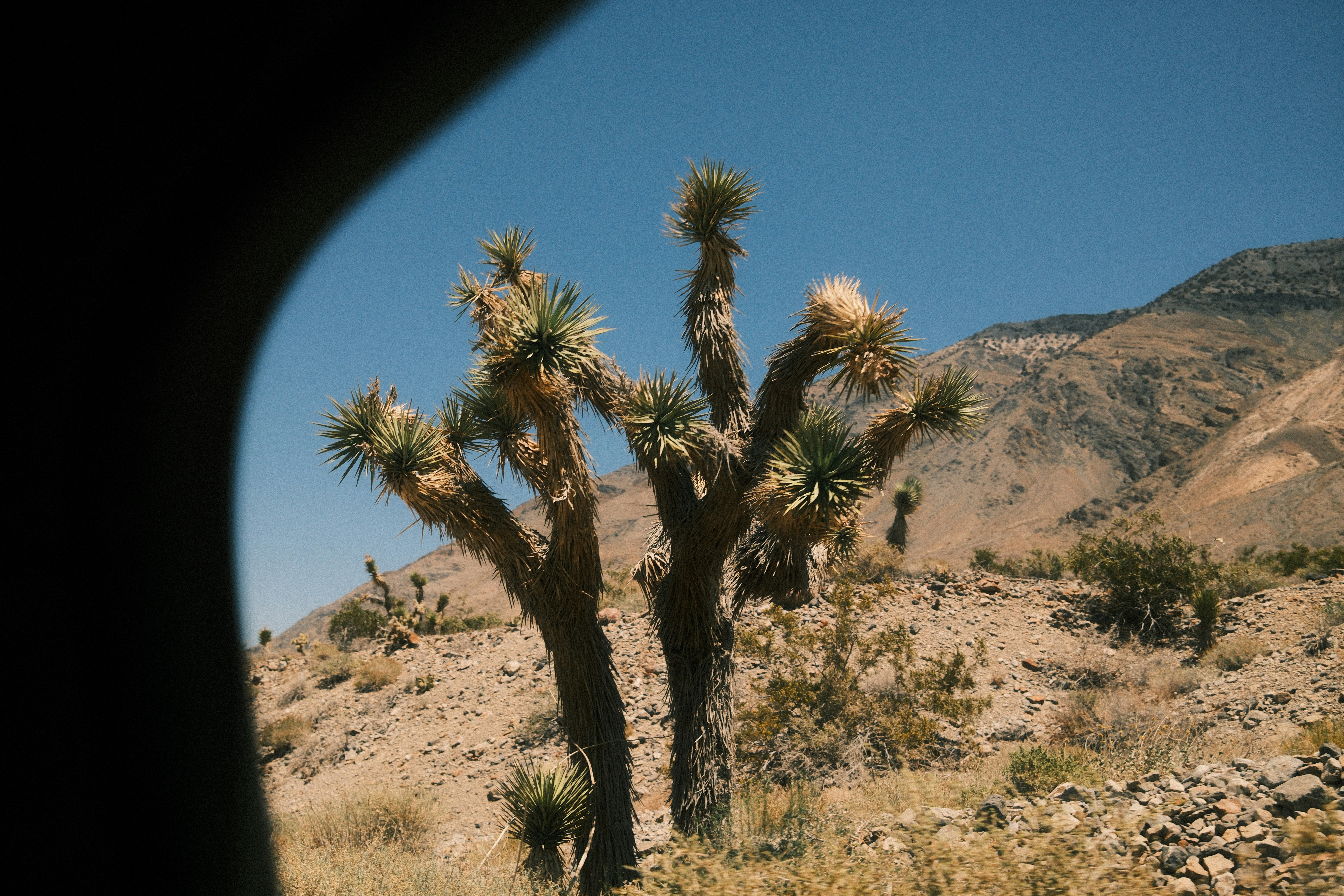 Photo by rbradyjordan