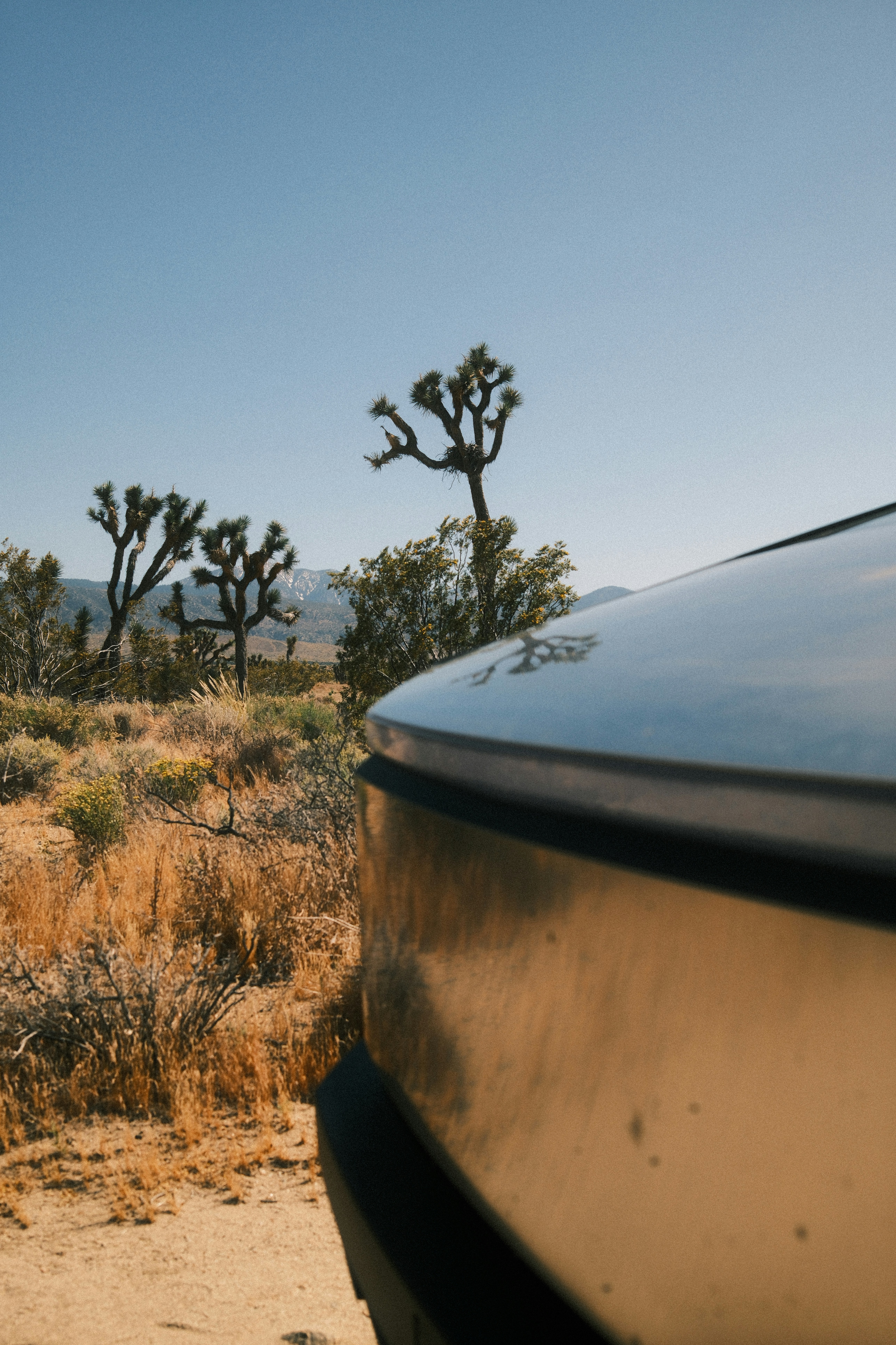 A car is parked in the desert with trees in the background