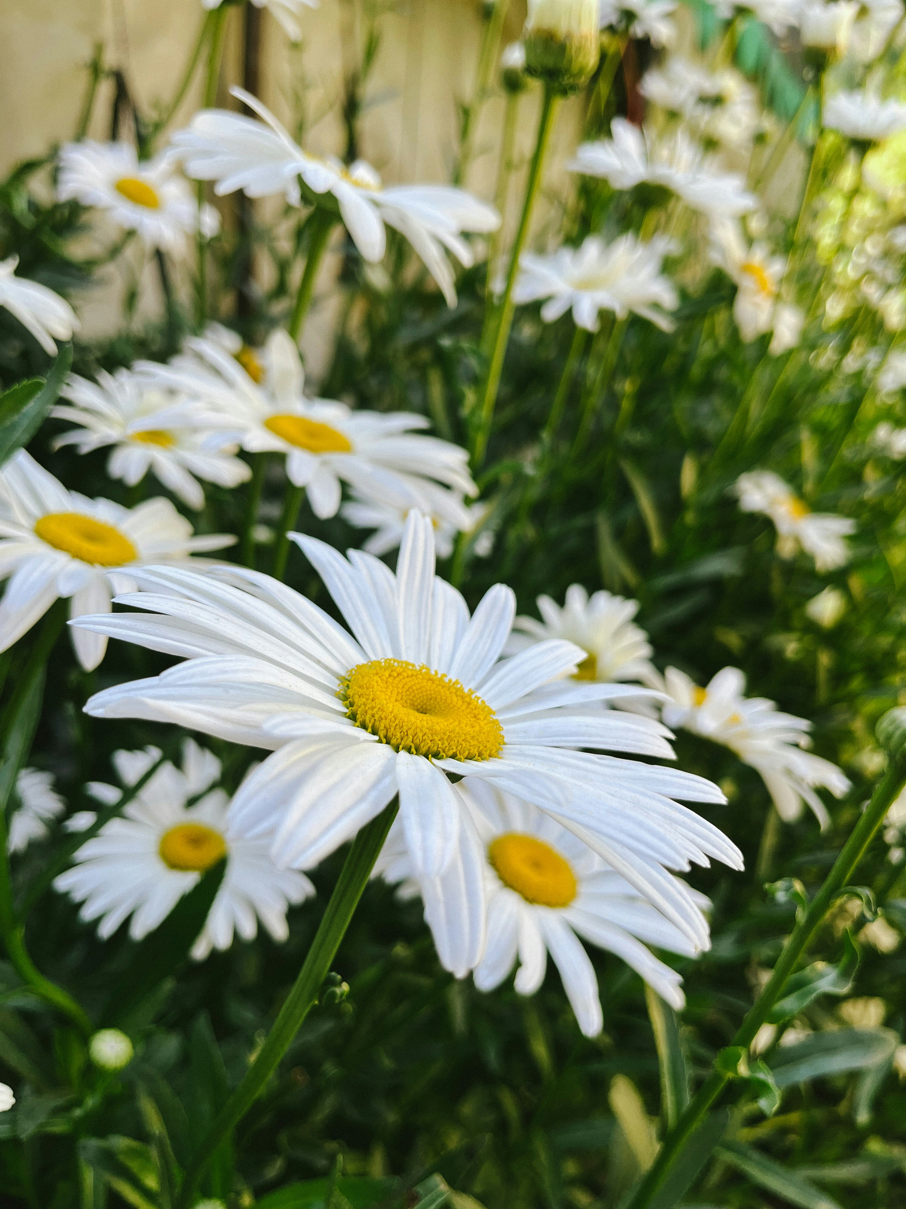 Photo by darkandflawed