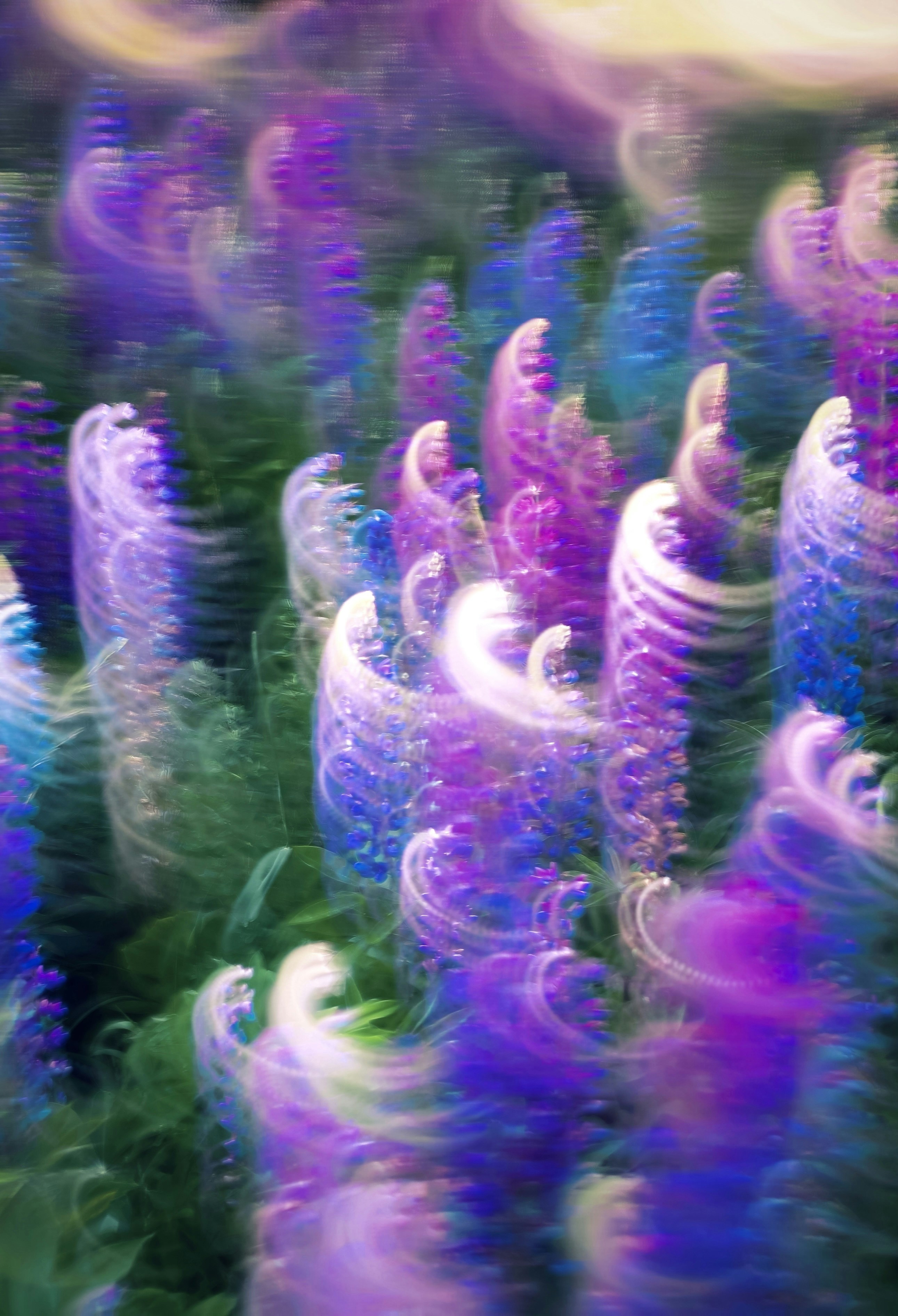 Photo by eugene_golovesov