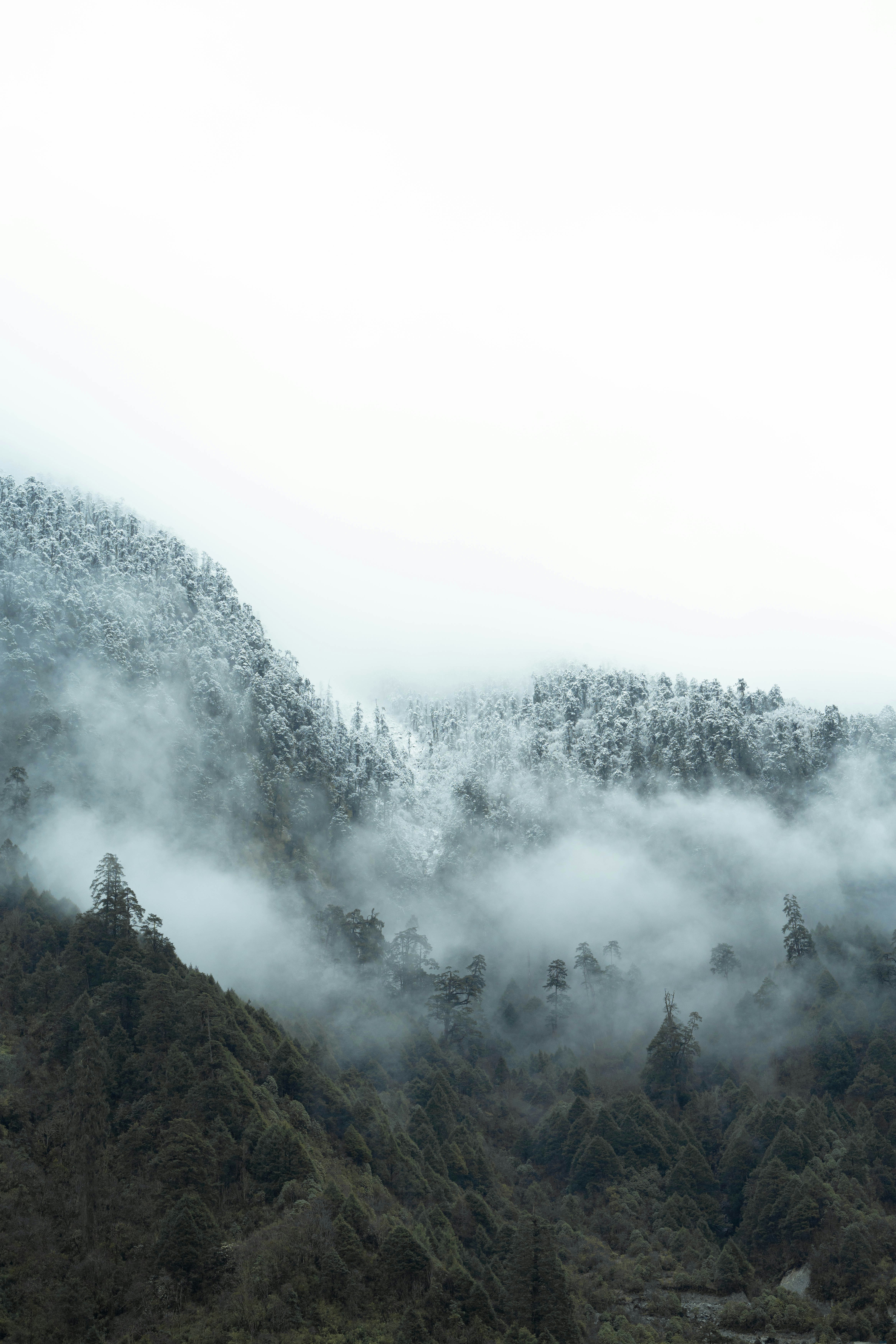 Photo by satyadeep_d