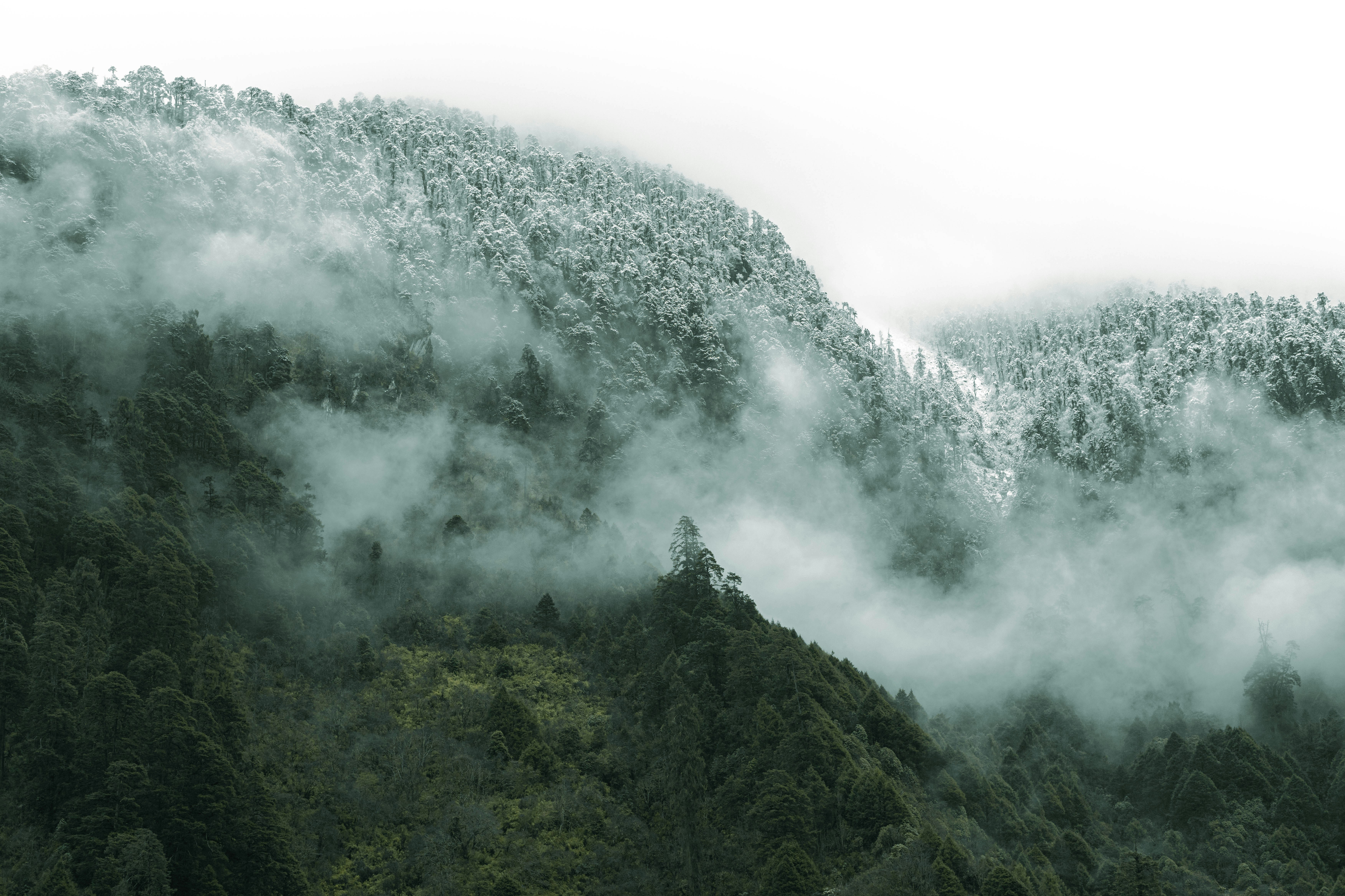 Photo by satyadeep_d