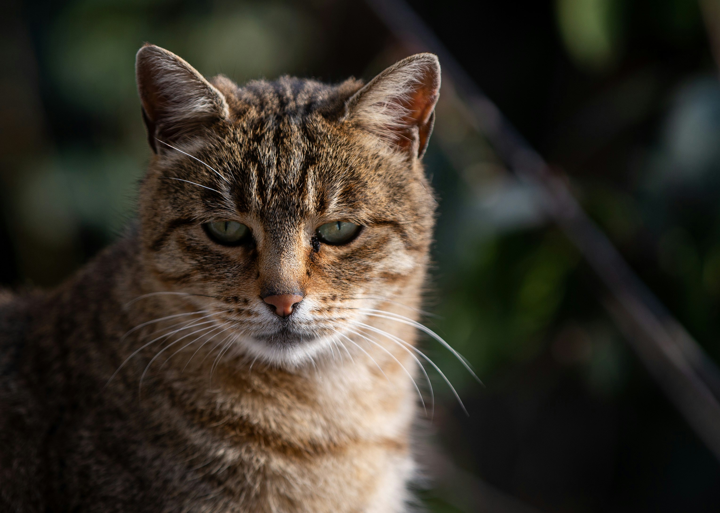 Photo by omertahacetin