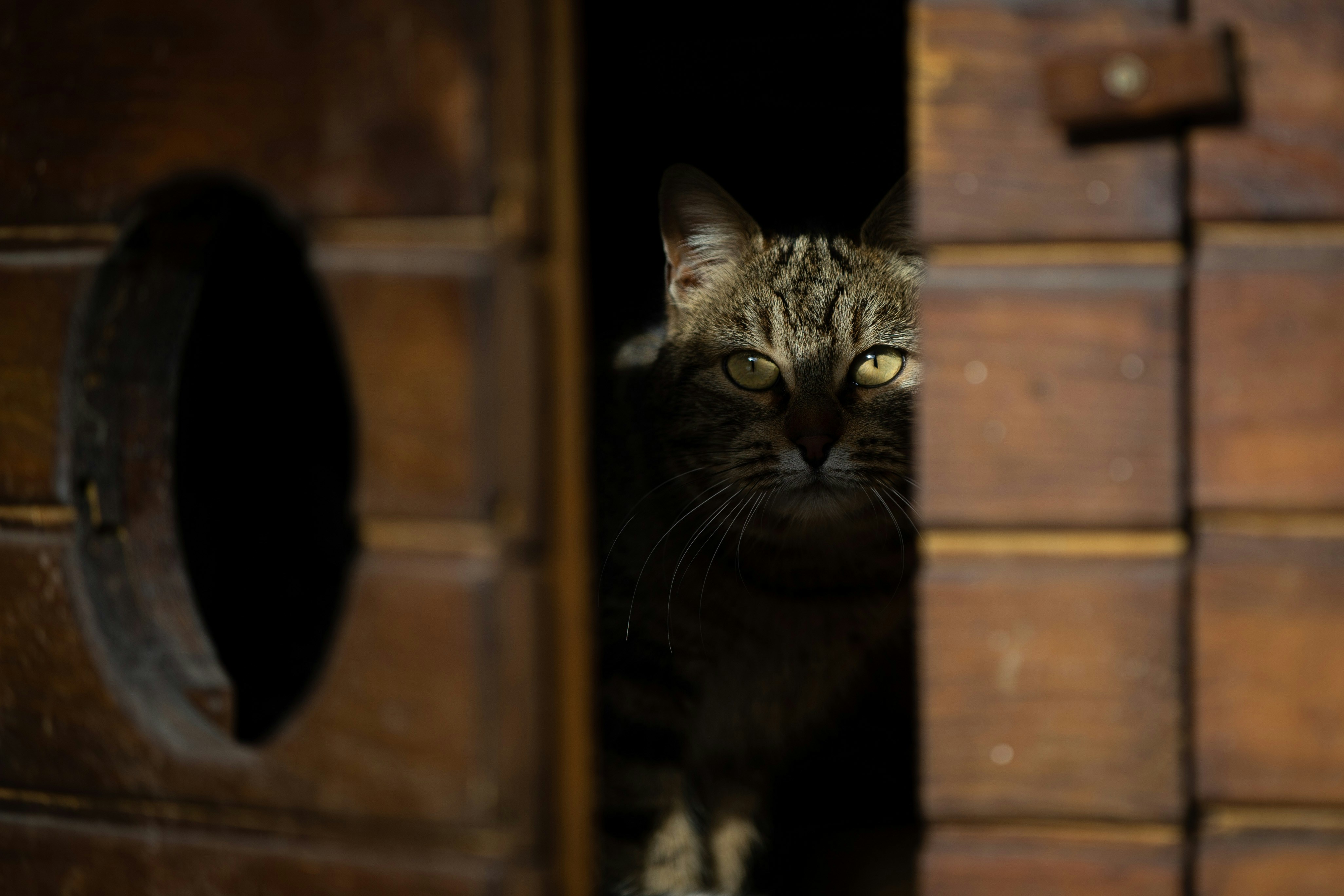 Photo by omertahacetin