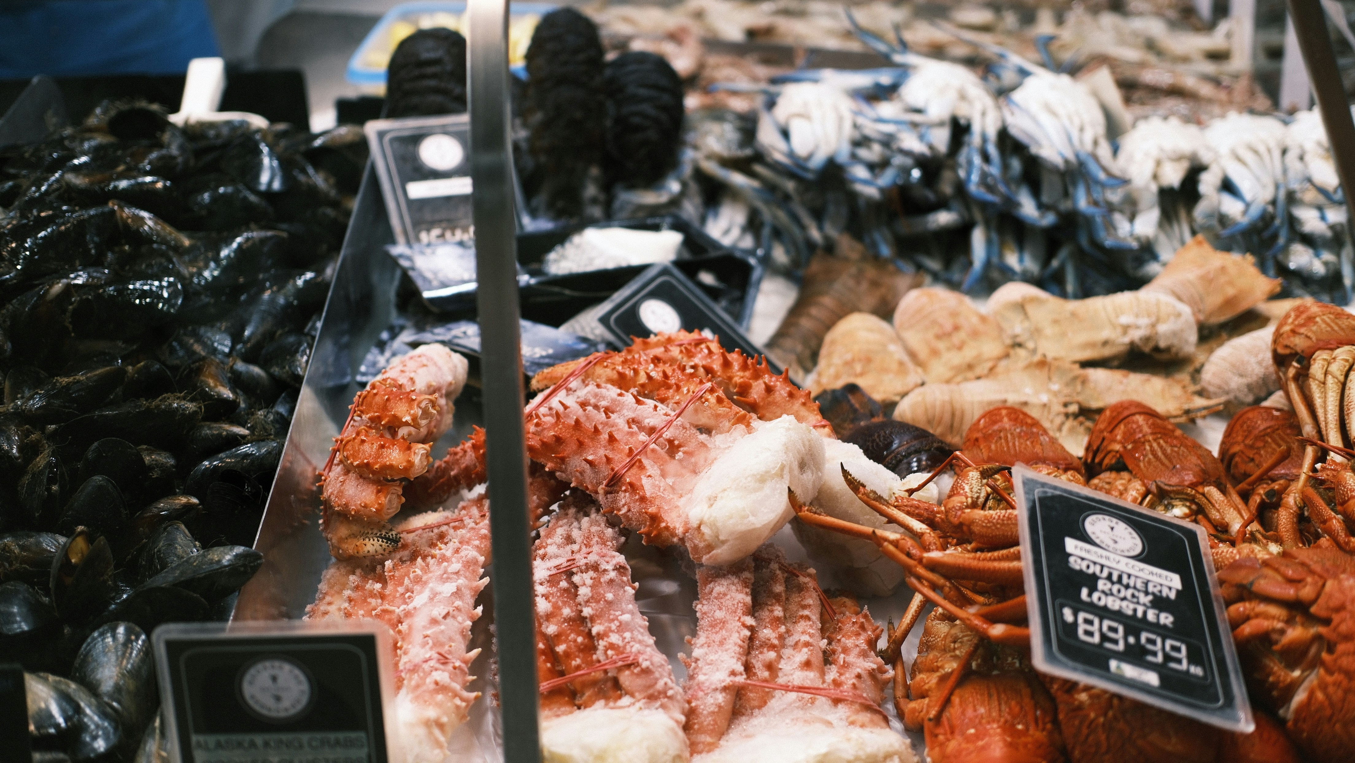 A bunch of different types of seafood on display