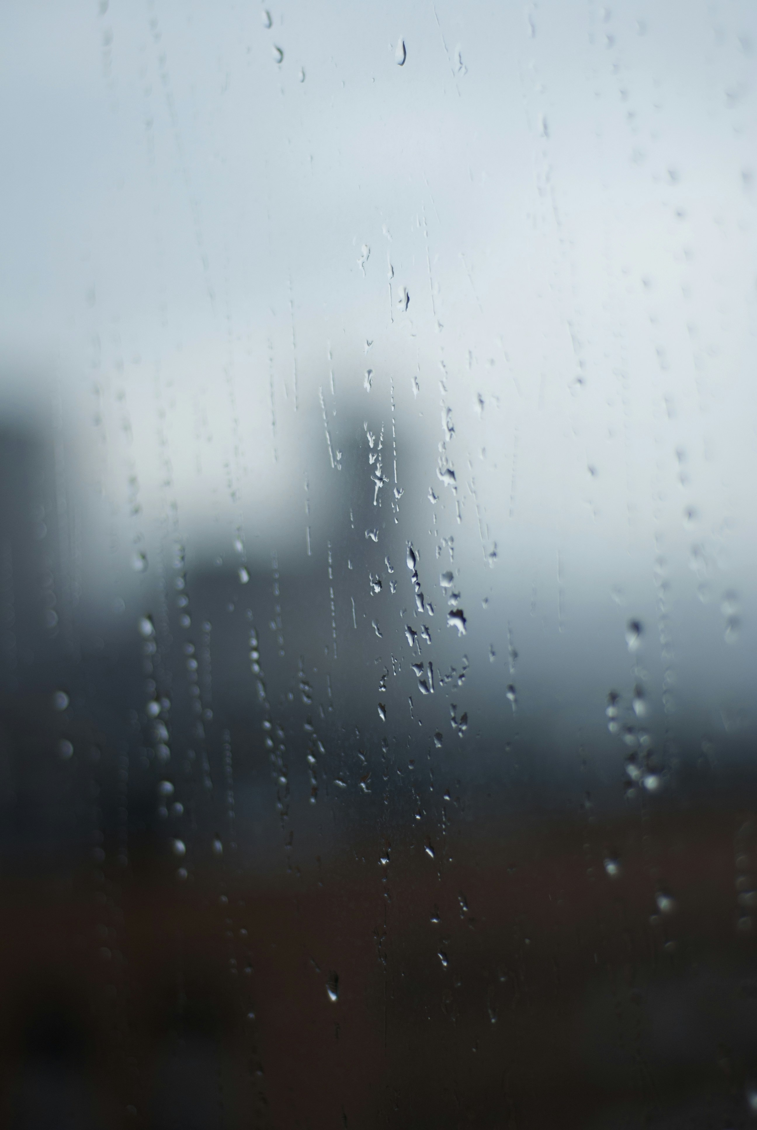 Photo by kovalskihelga