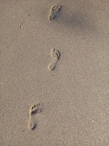A couple of footprints that are in the sand
