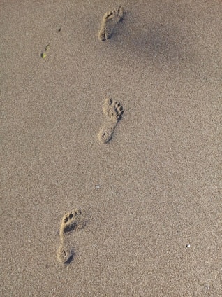 A couple of footprints that are in the sand