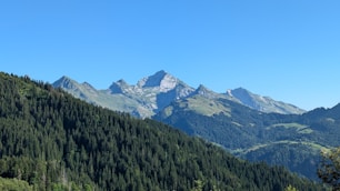 A scenic view of a mountain range with trees in the foreground