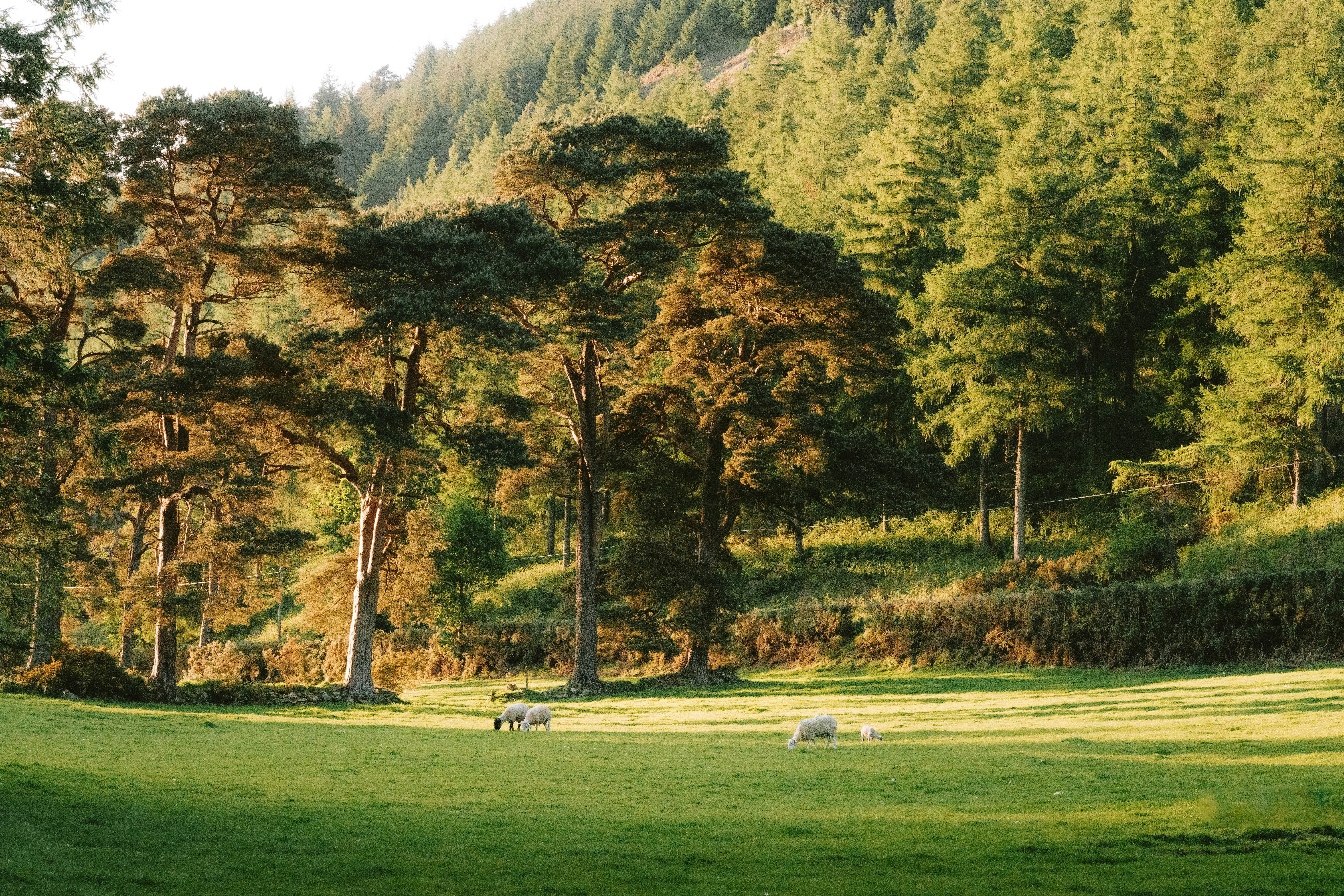 Photo by mathieuodin