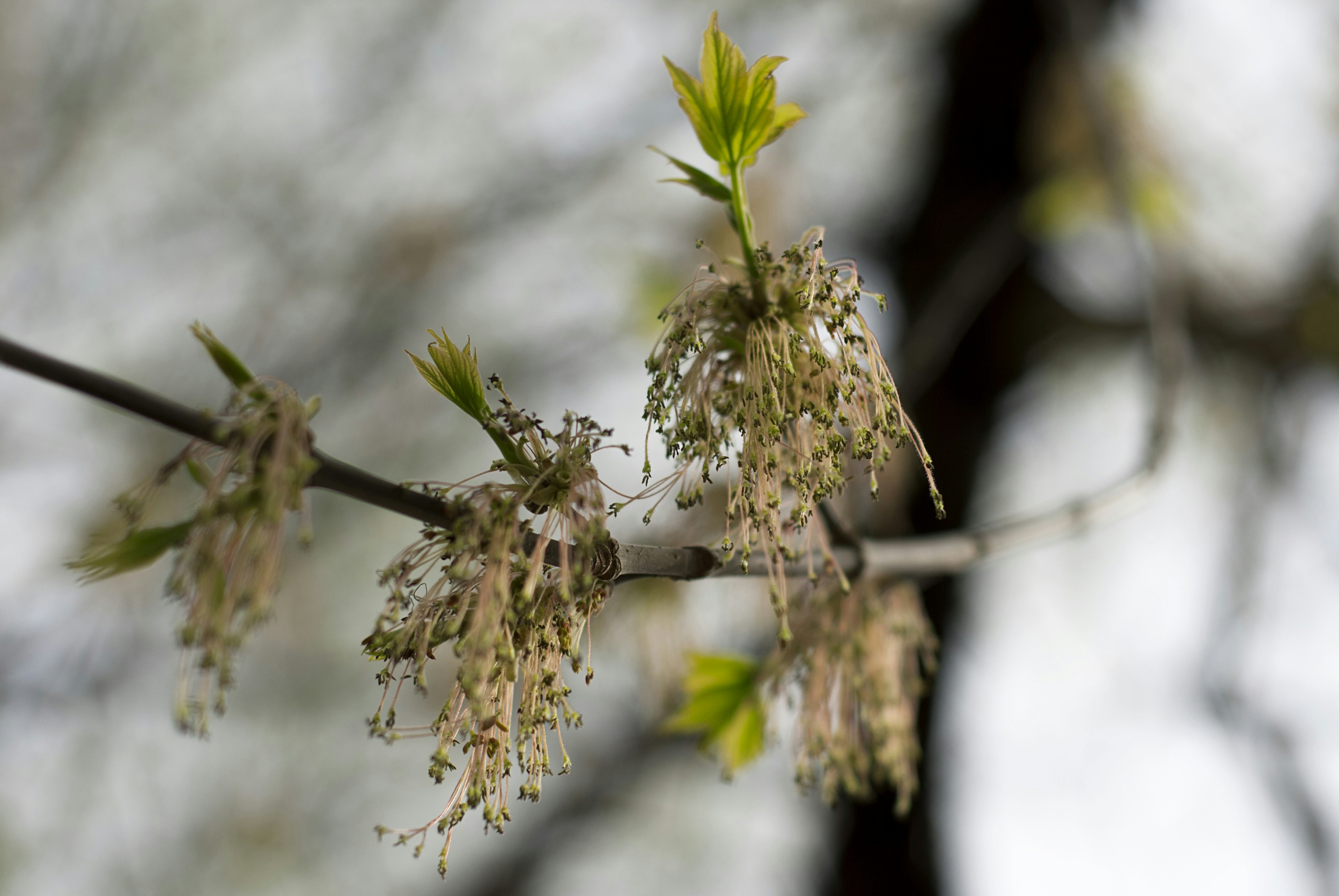 Photo by kovalskihelga