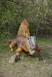A statue of a dinosaur laying on its back