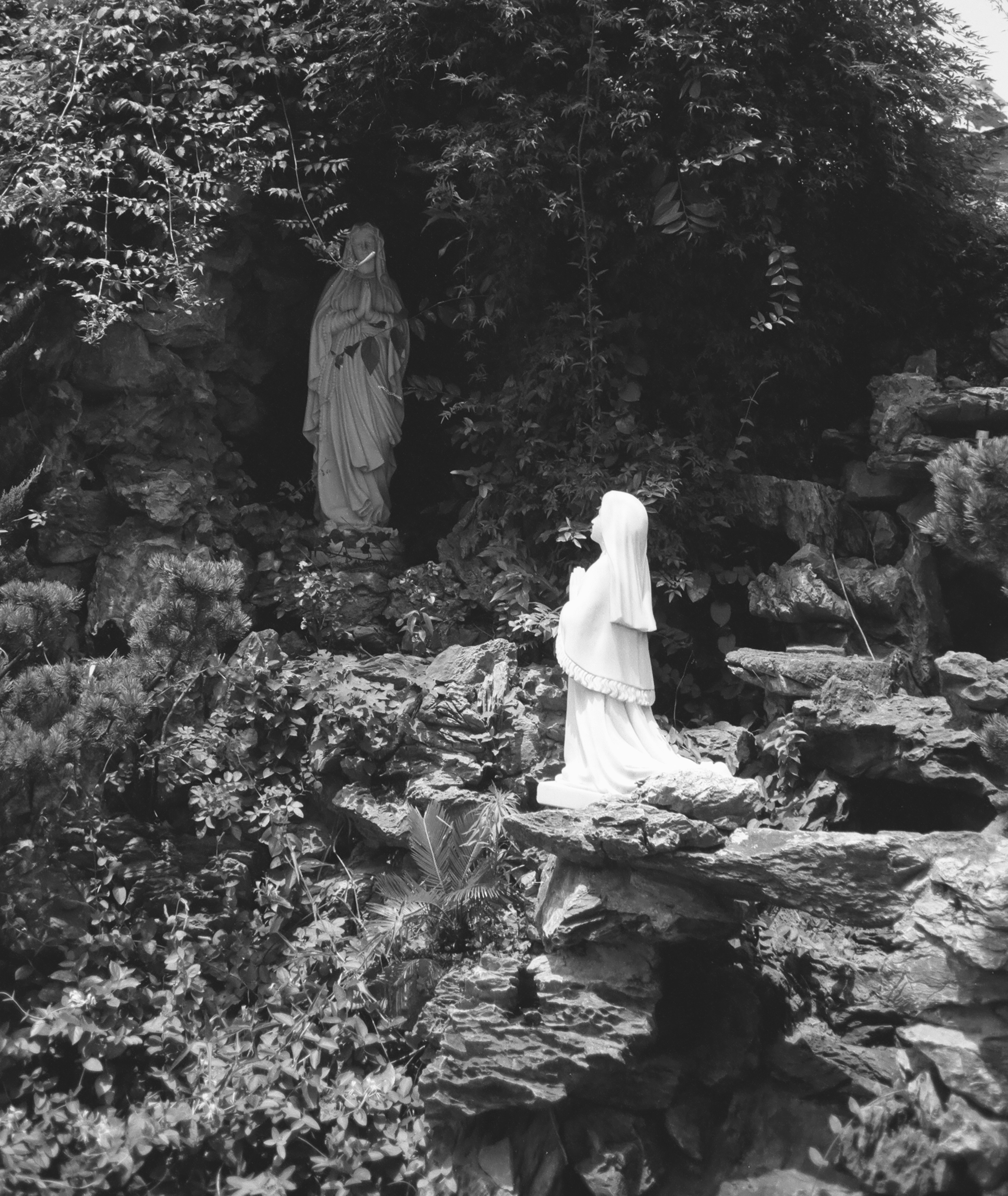 Photo by geraltyichen