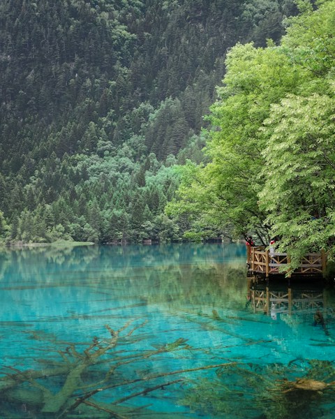 Jiuzhaigou Valley: China's Colorful Highland Lake Paradise