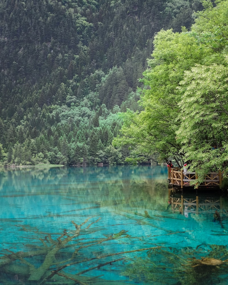 Jiuzhaigou Secrets & Chengdu Charms