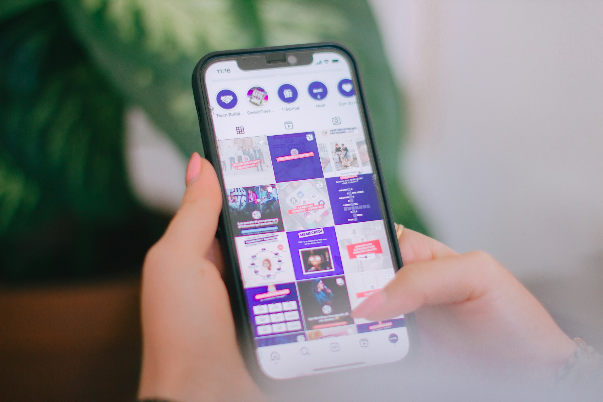 A person holding a cell phone in their hand