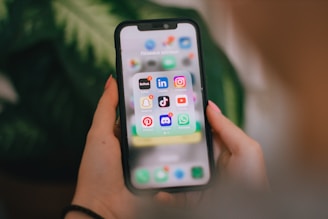 A person holding a cell phone in their hand