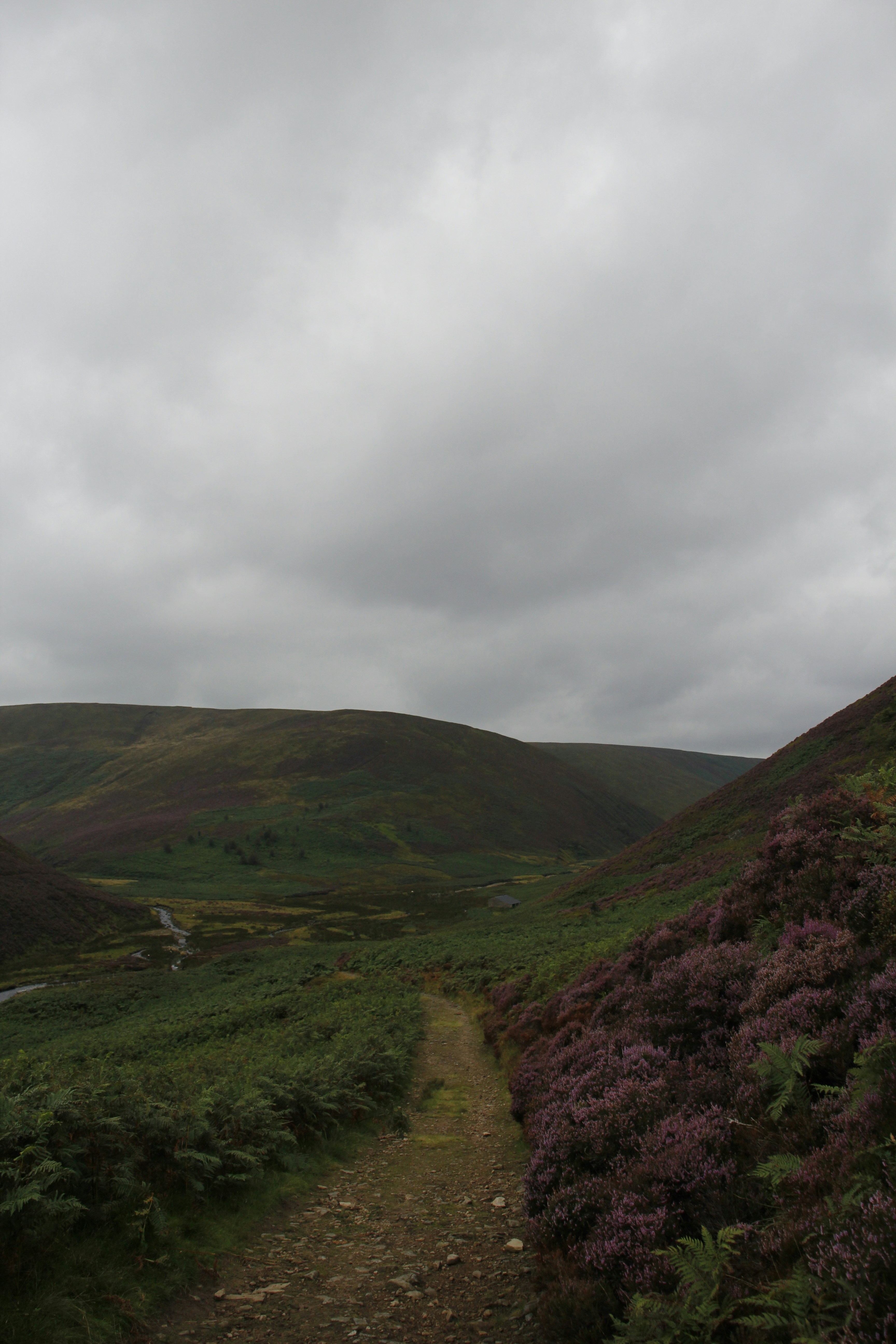 Photo by bloominghyacinth