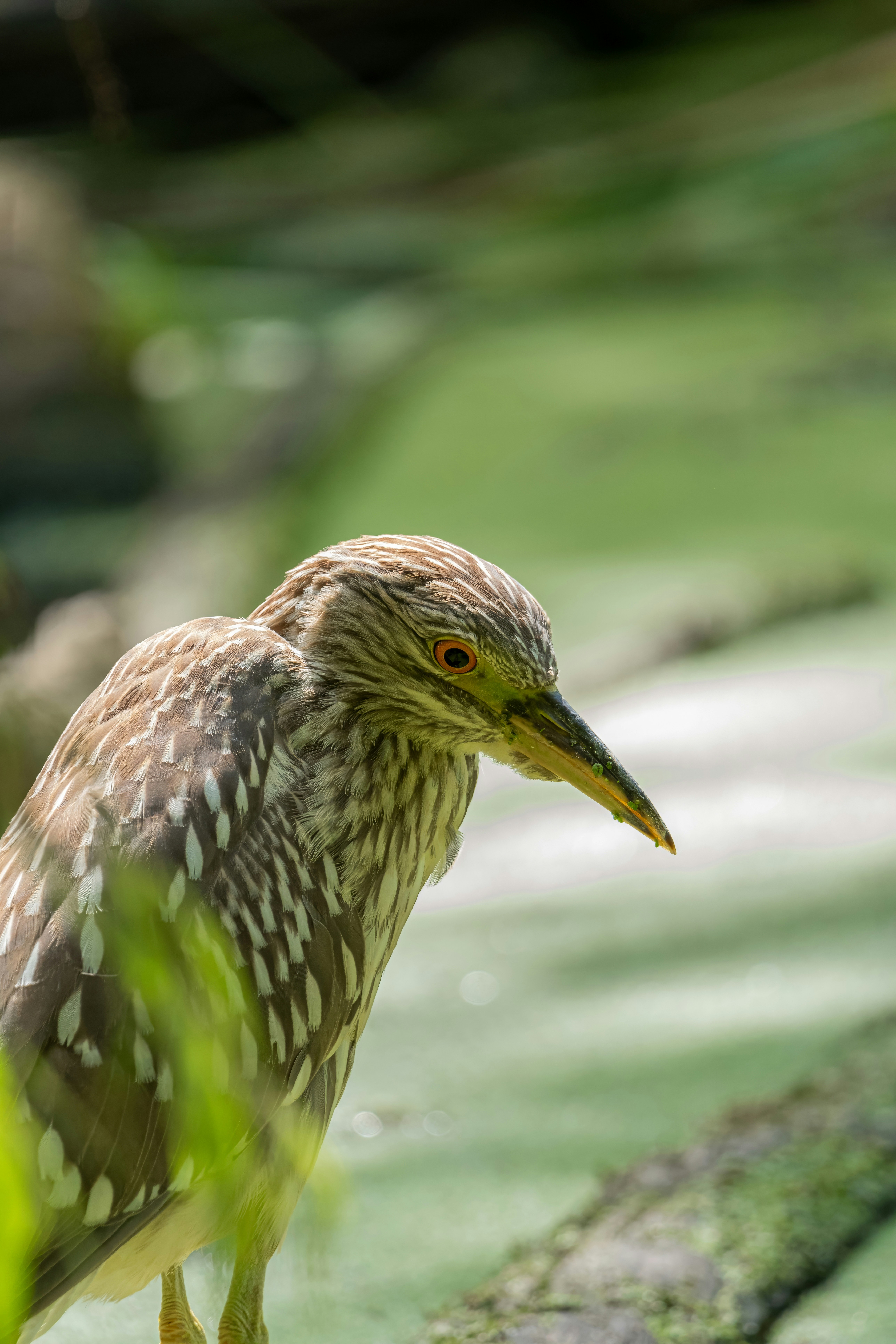 Photo by alexandredaoust