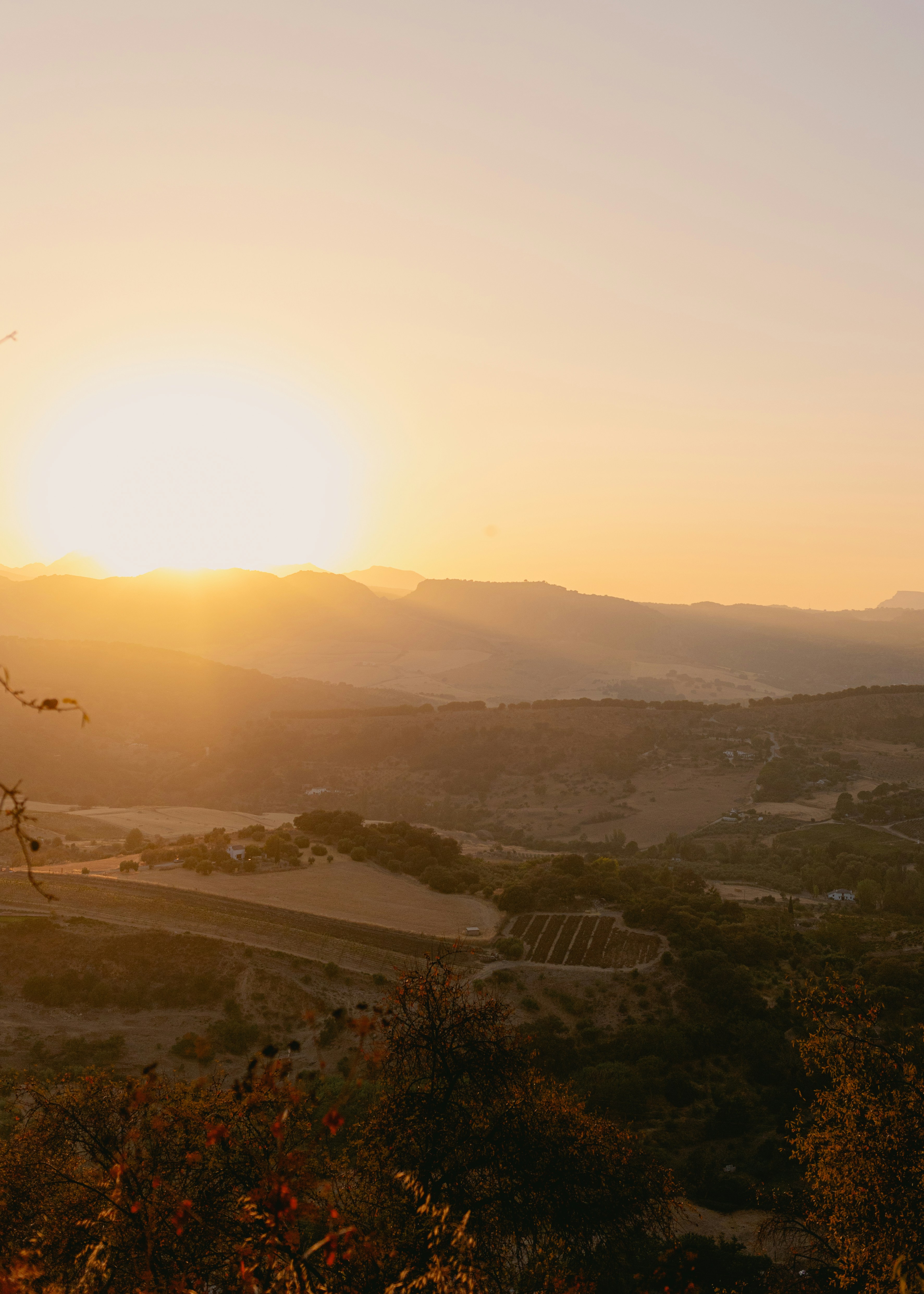 Choose from a curated selection of sun photos. Always free on Unsplash.